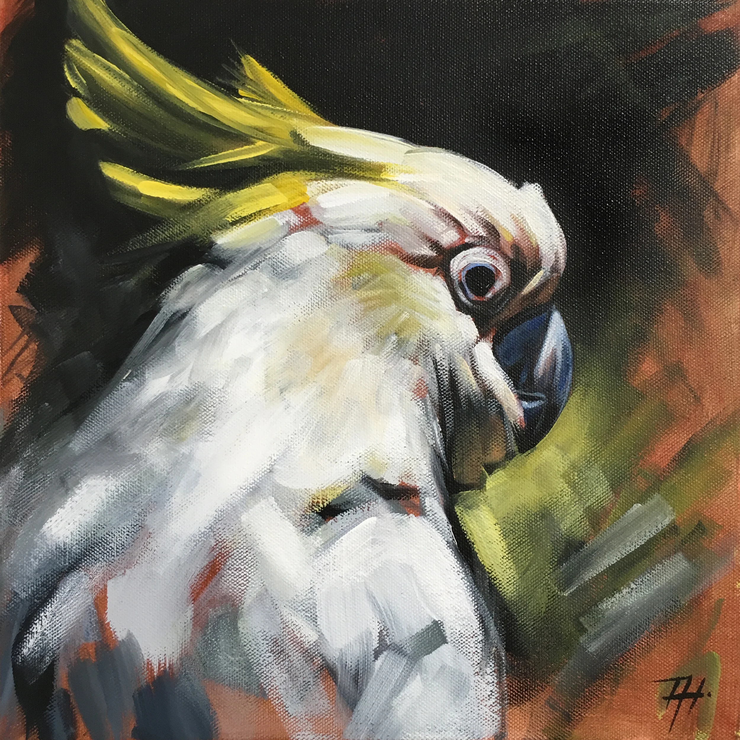 DAY 01 Cockatoo SEPT 3030 2017.jpg