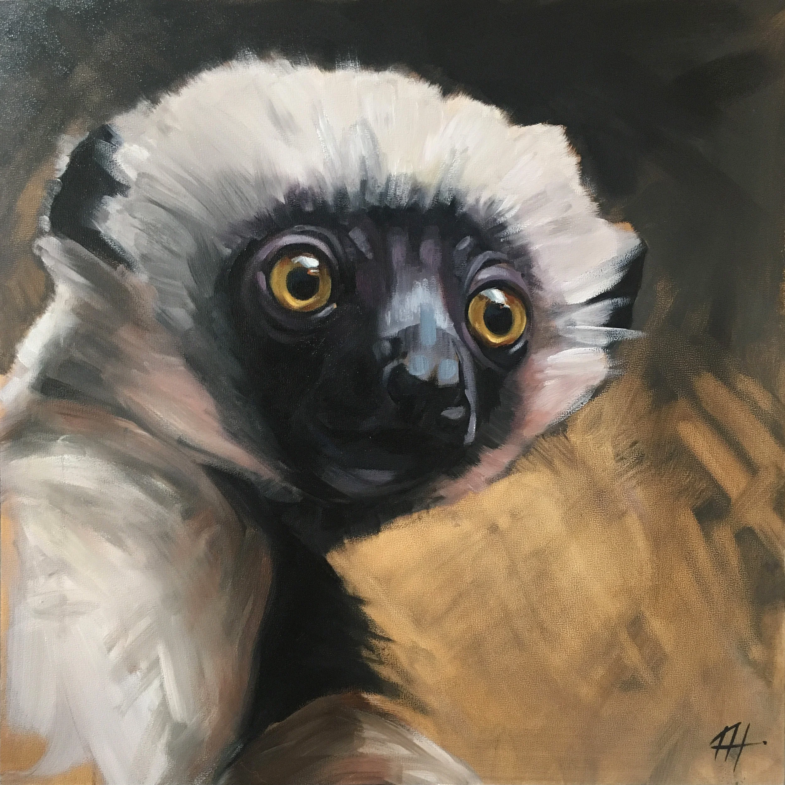 DAY 23 - Sifaka 2500px.jpg