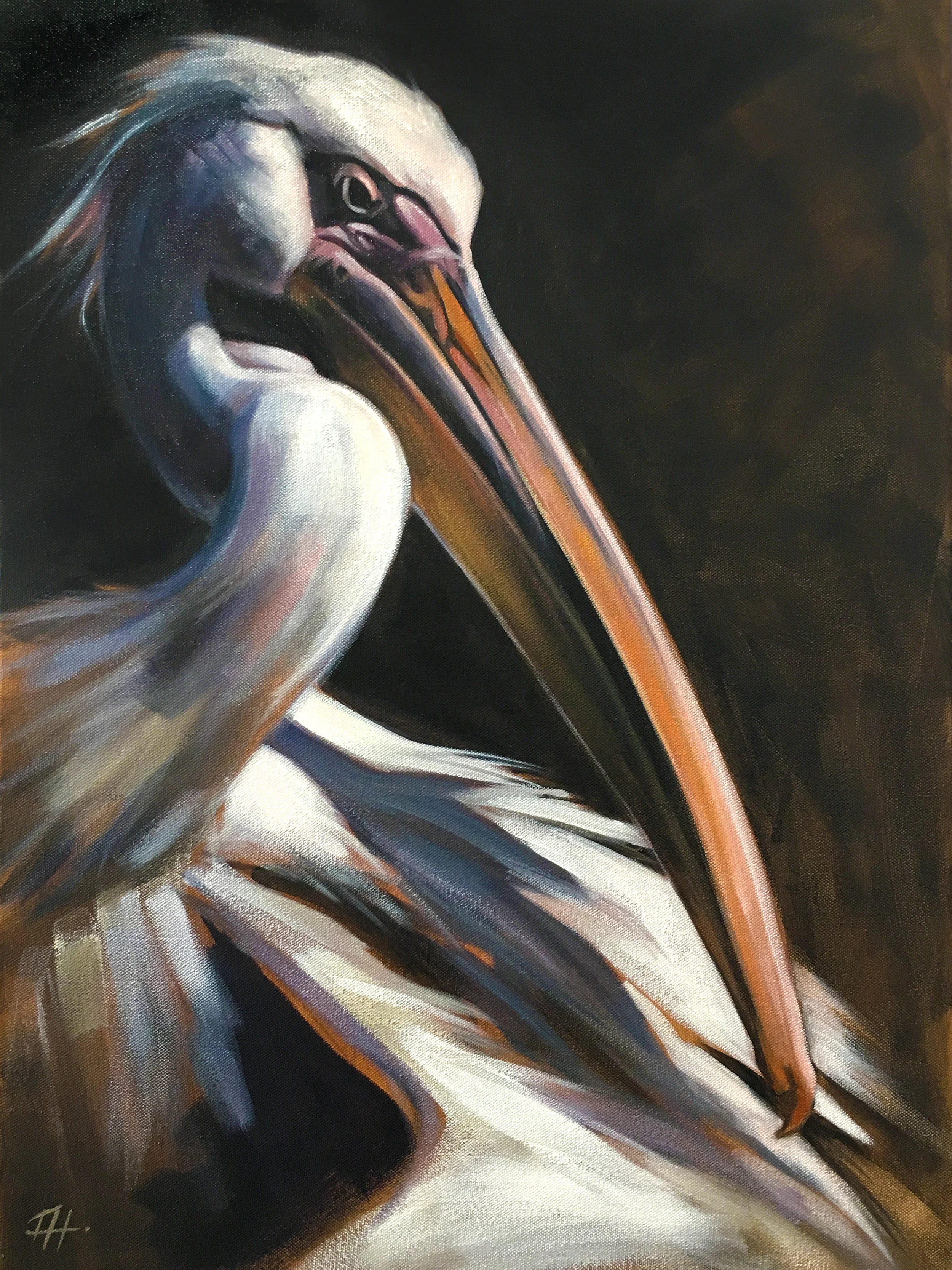 DAY 28 - Pelican 2500px.jpg