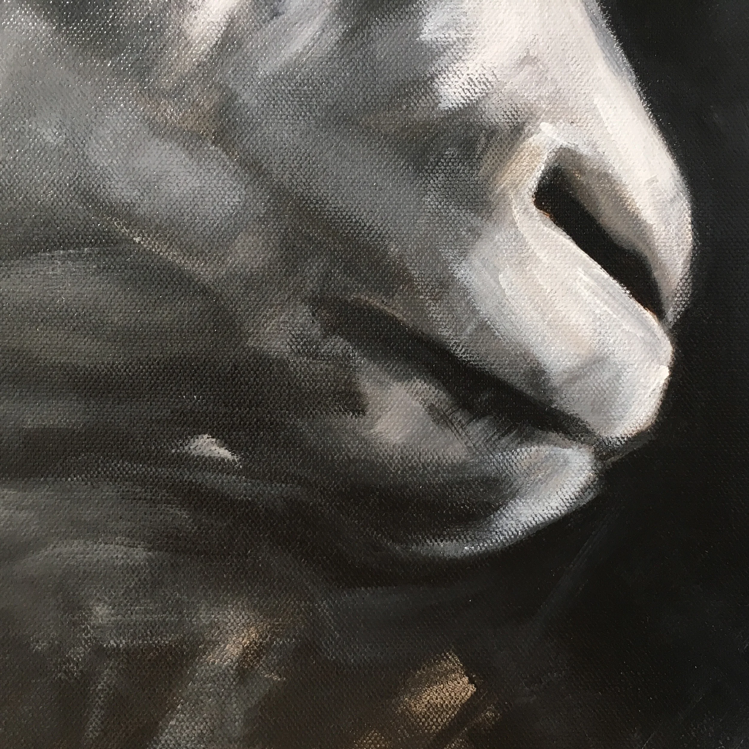 black and white sheep in profile aimee hoover 3.jpg