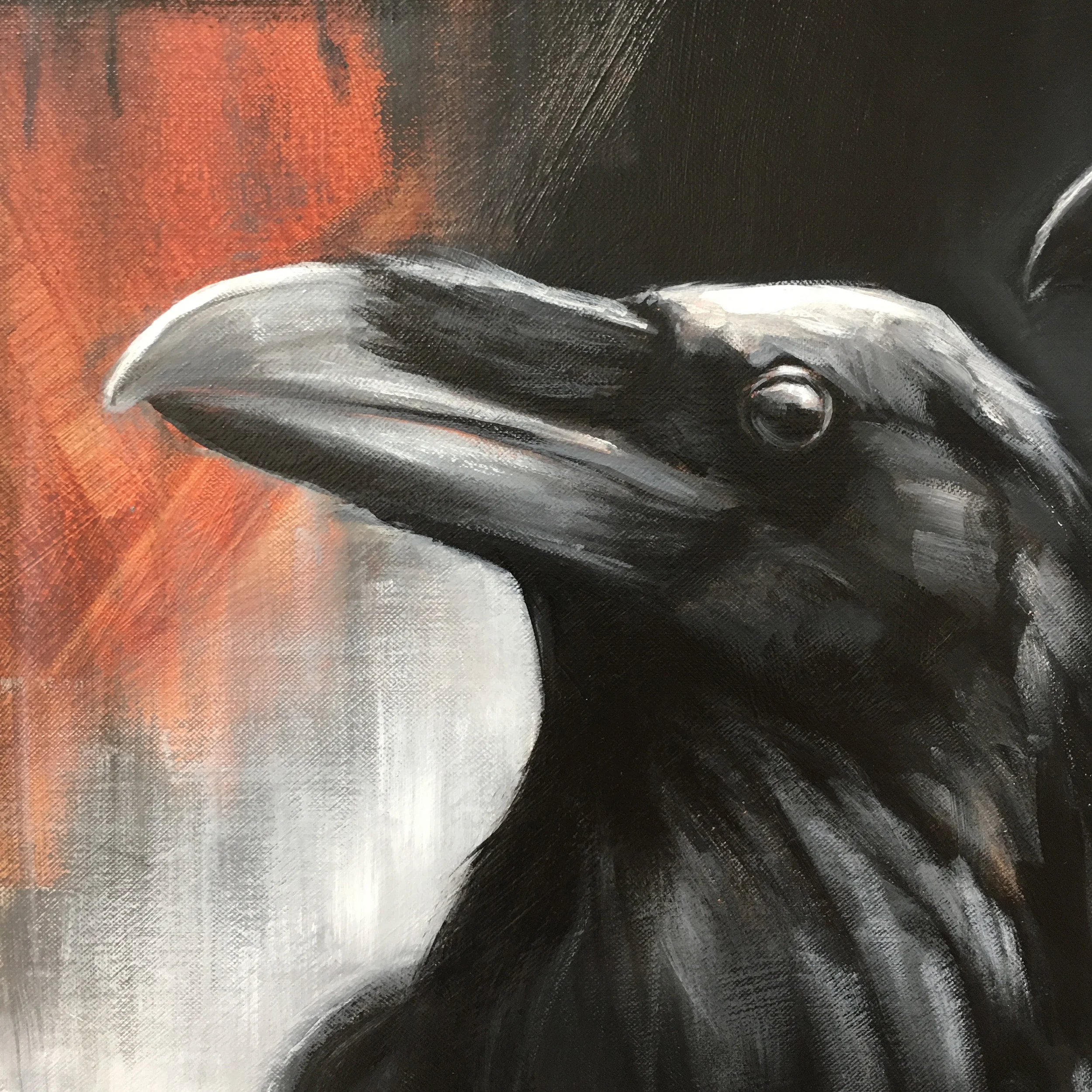 the messengers ravens aimee hoover 2.jpg