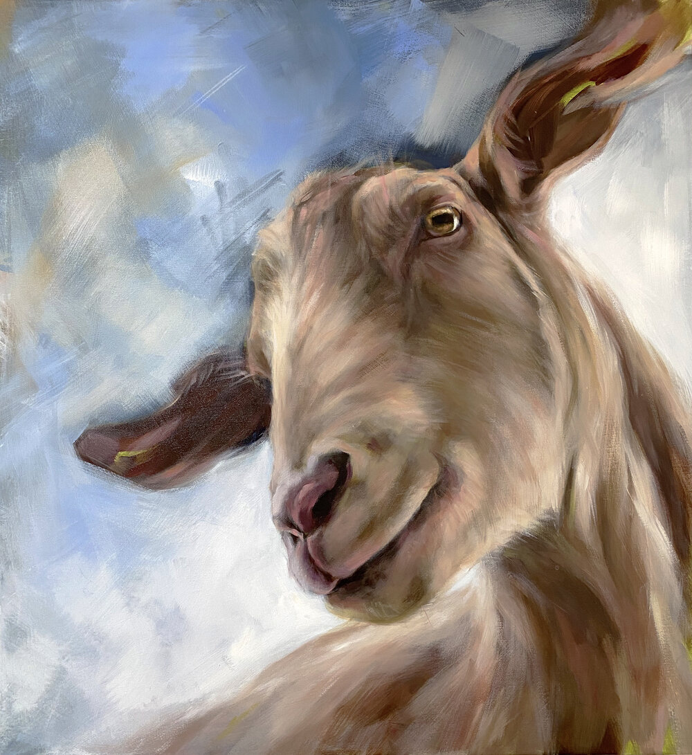 "Alondra" rescue goat painting — Aimée Rolin Hoover / Wild & Domestic Animal paintings