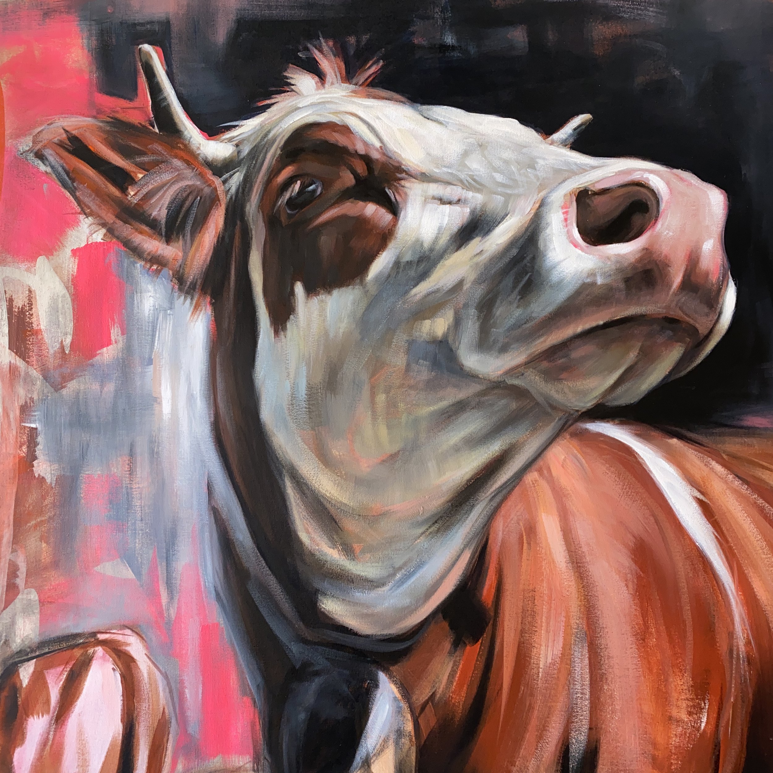 splendid diversions cows aimee hoover D1.jpg