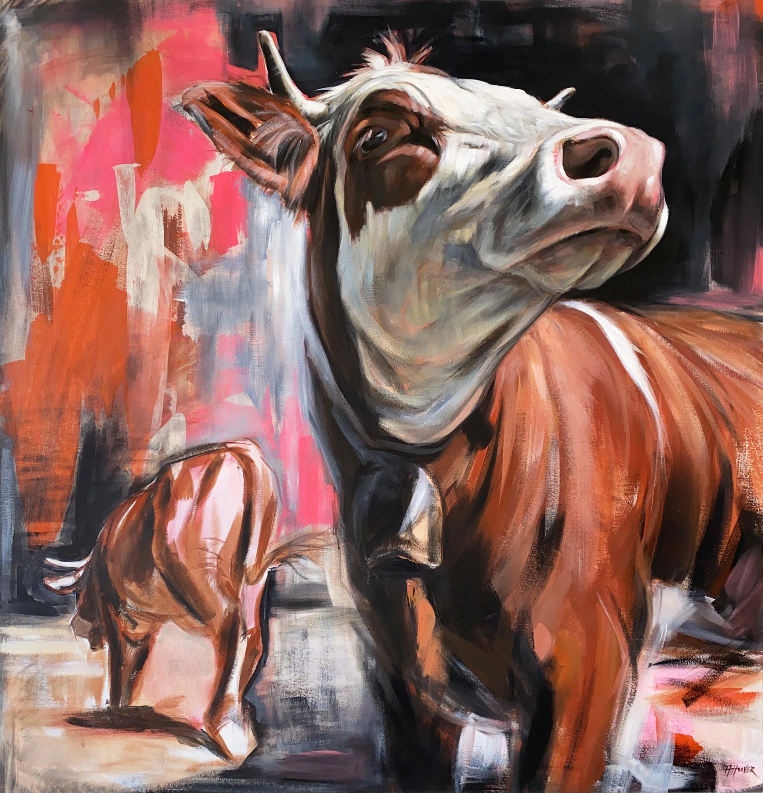 splendid diversions cows aimee hoover full image.jpg