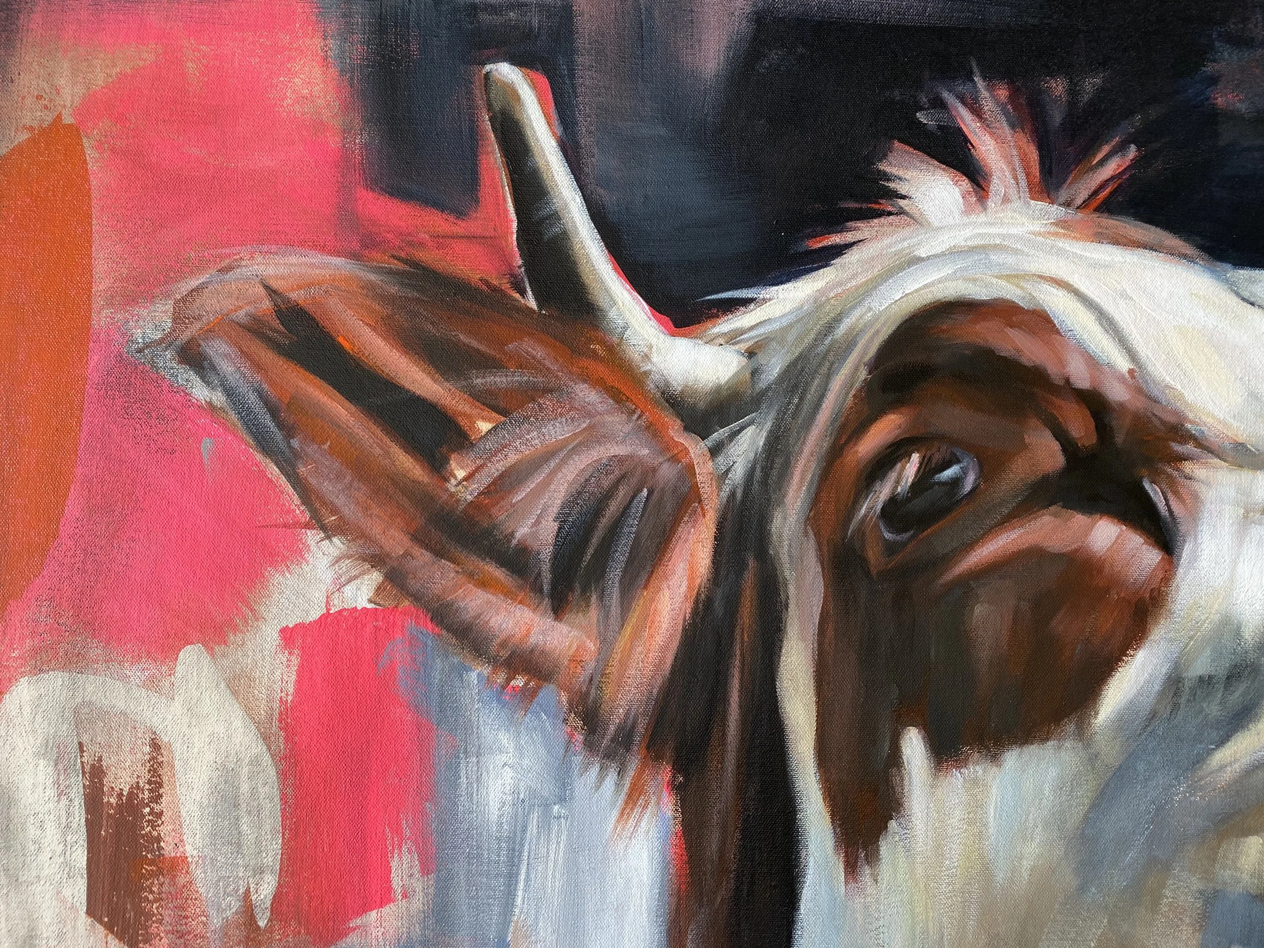 splendid diversions cows aimee hoover eye D4.jpg