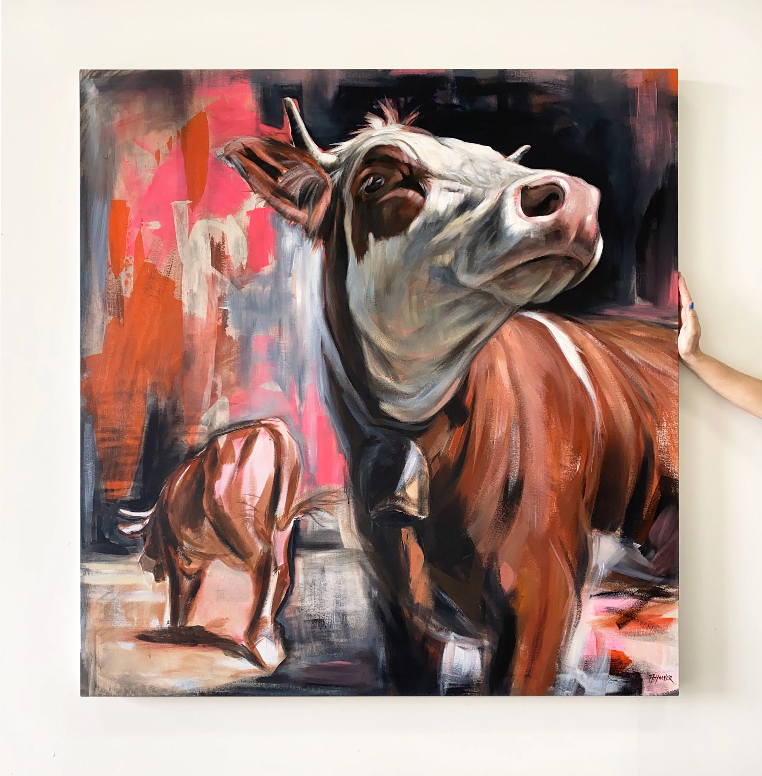 splendid diversions cows aimee hoover artist hand D2.jpg