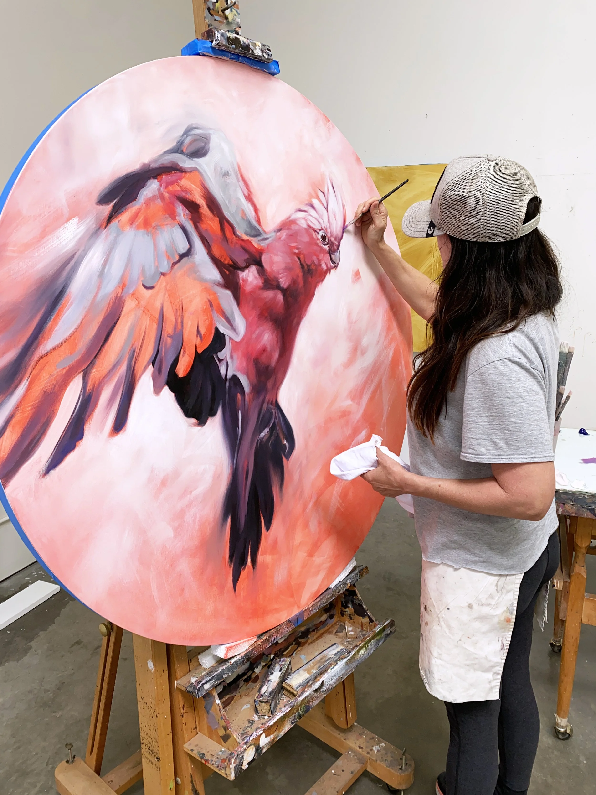 galah cockatoo painting aimee hoover in studio.jpg