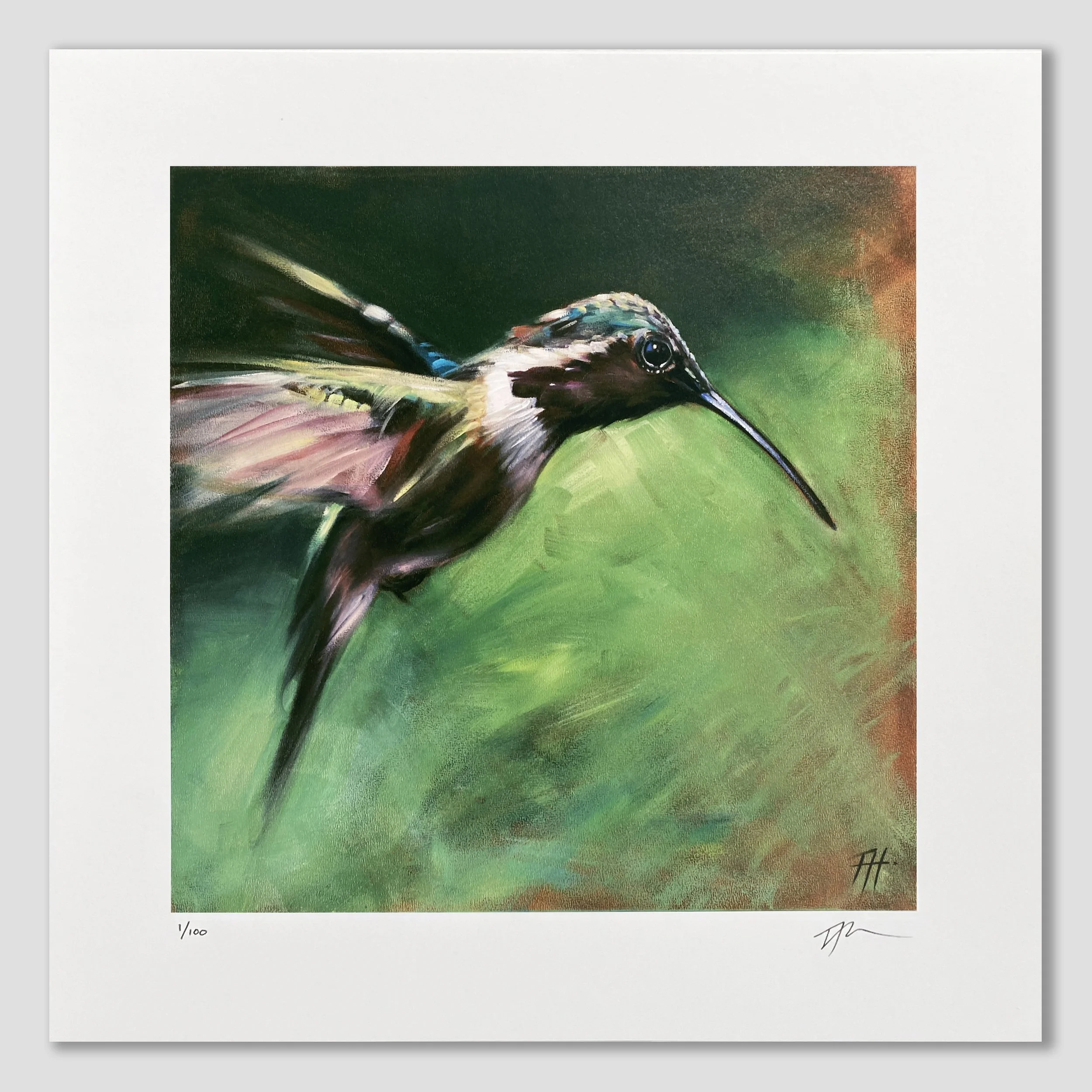 hummingbird art print by aimee hoover D2 2022.jpg