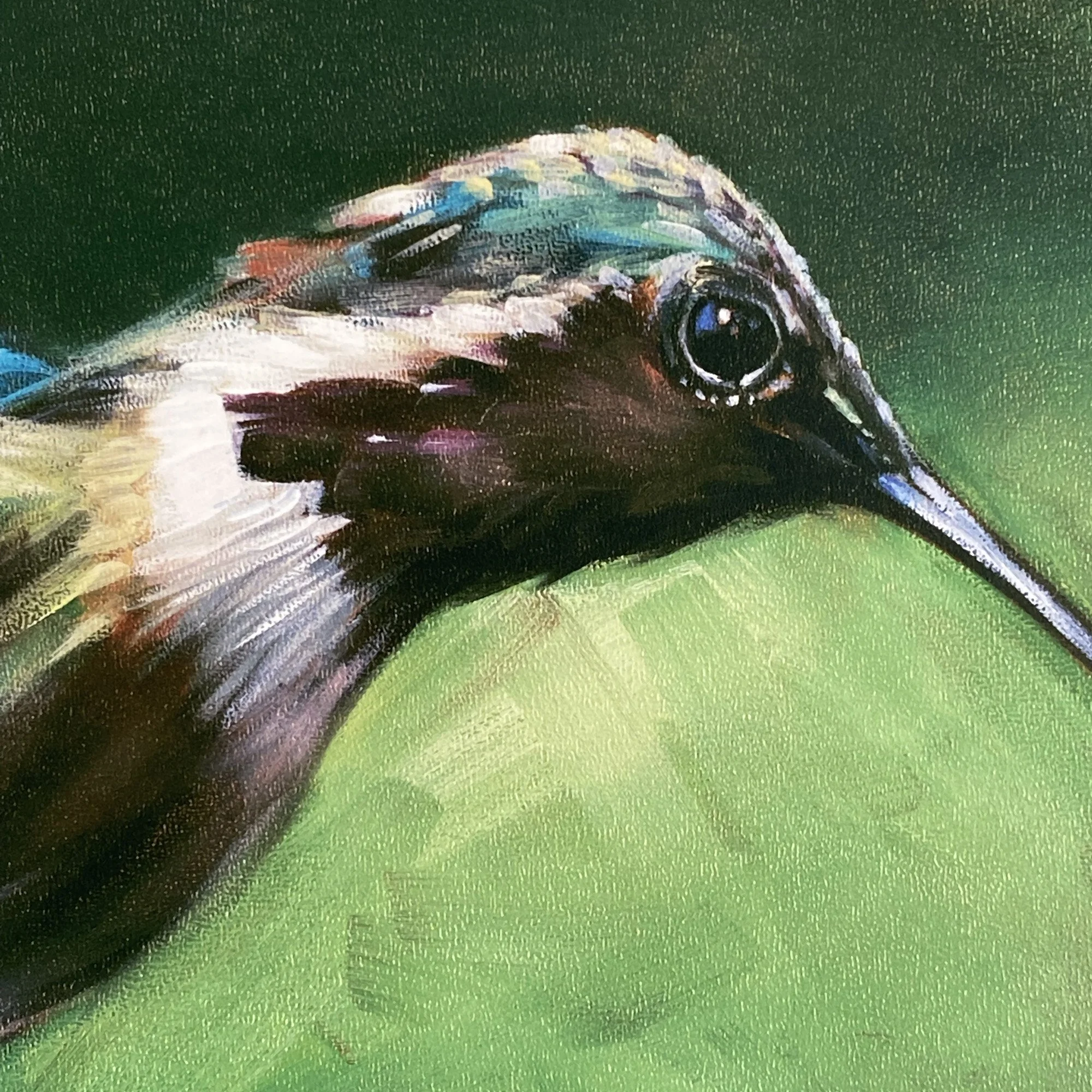 hummingbird art print by aimee hoover D4 2022 copy.jpg