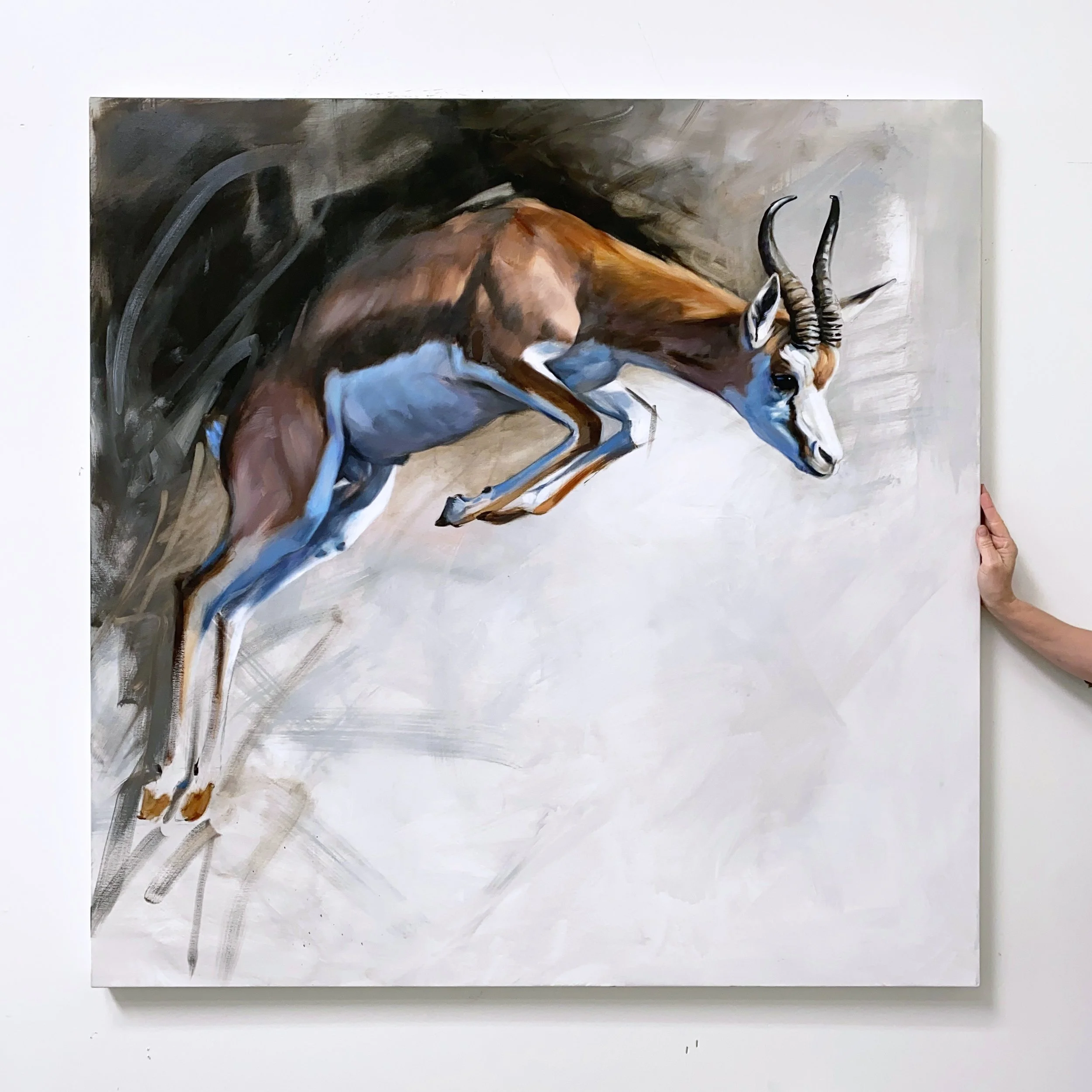 Springbok 2022 aimee hoover.jpg (Copy)