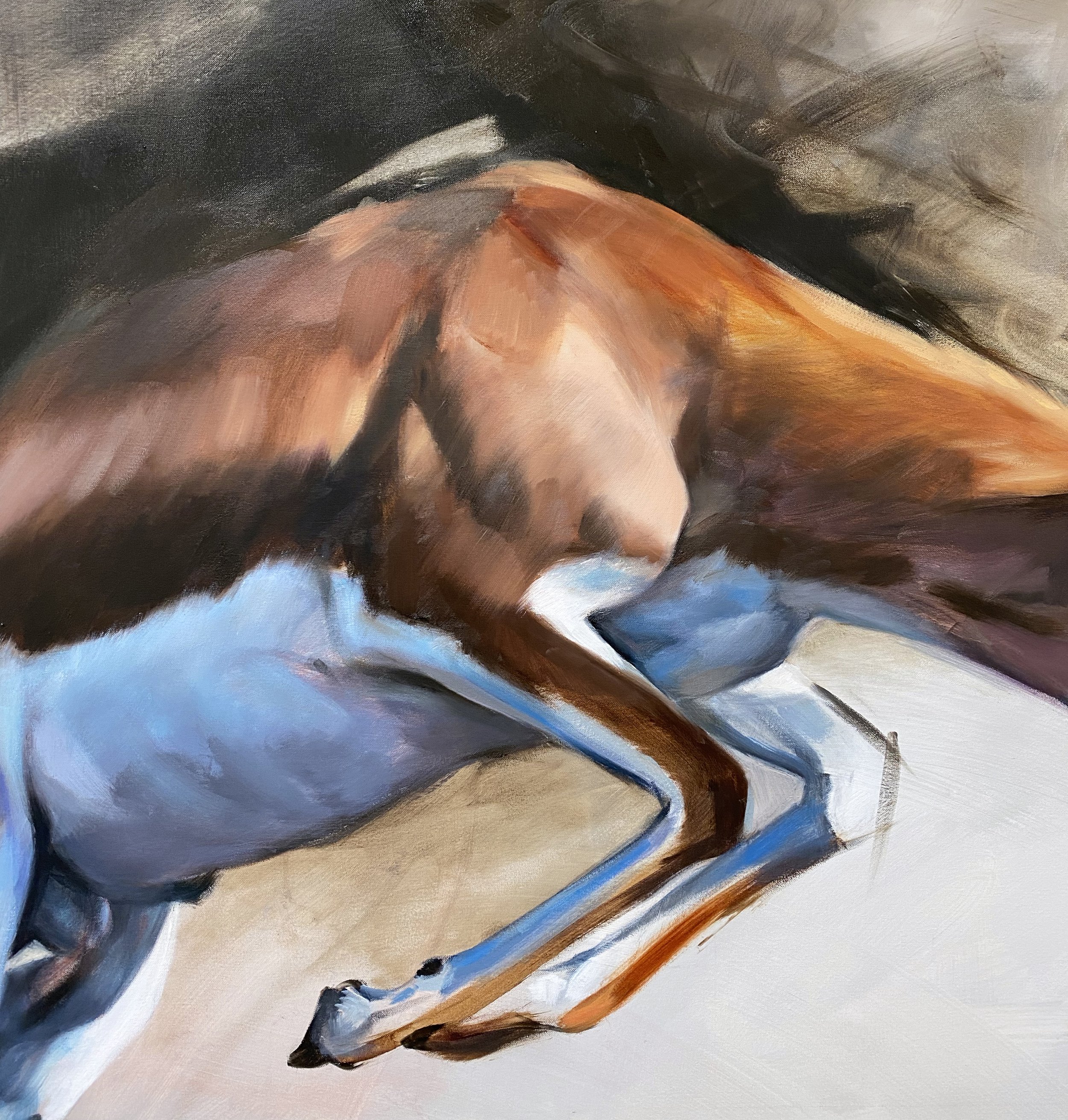 Springbok 2022 aimee hoover detail 1.jpg (Copy)