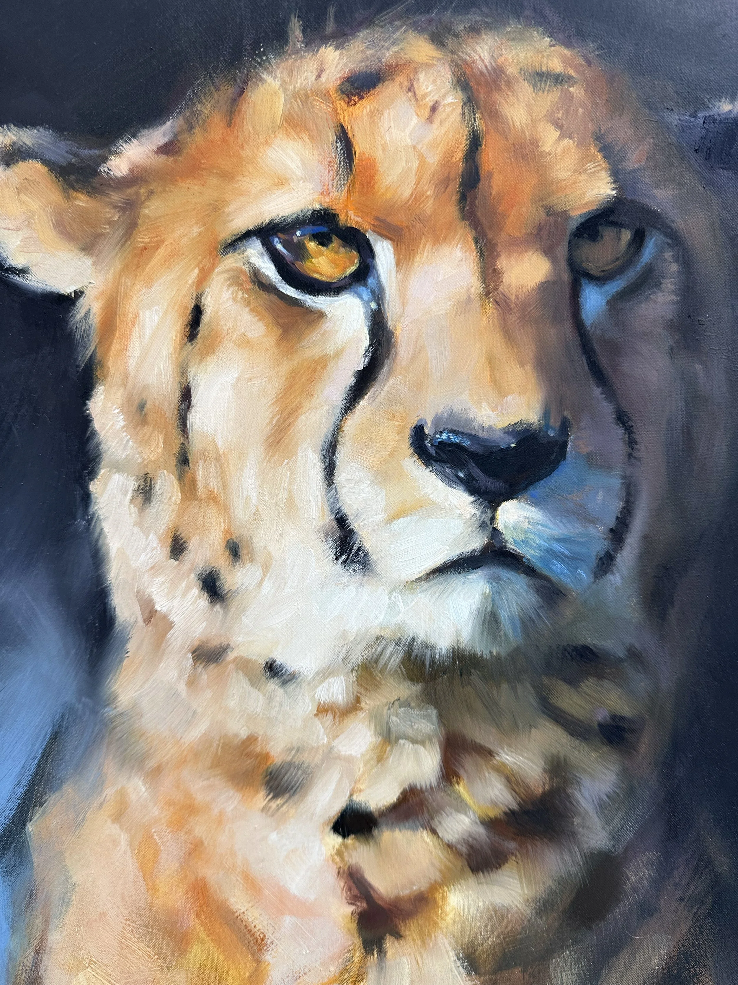 dominion cheetah painting aimee hoover D2.jpg