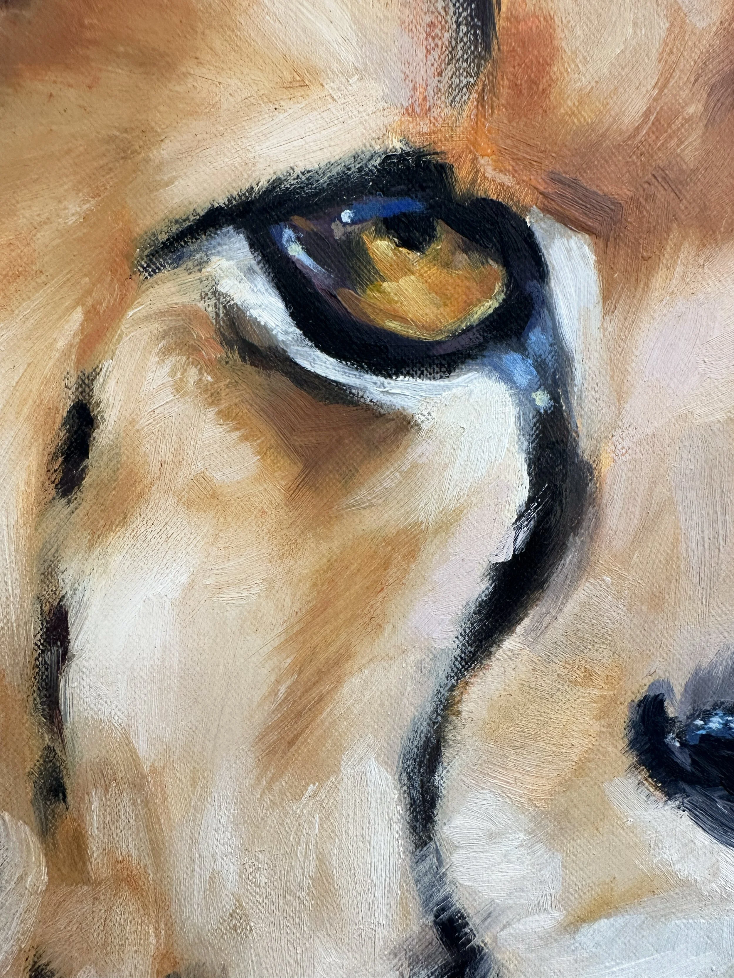 dominion cheetah painting aimee hoover D5.jpg