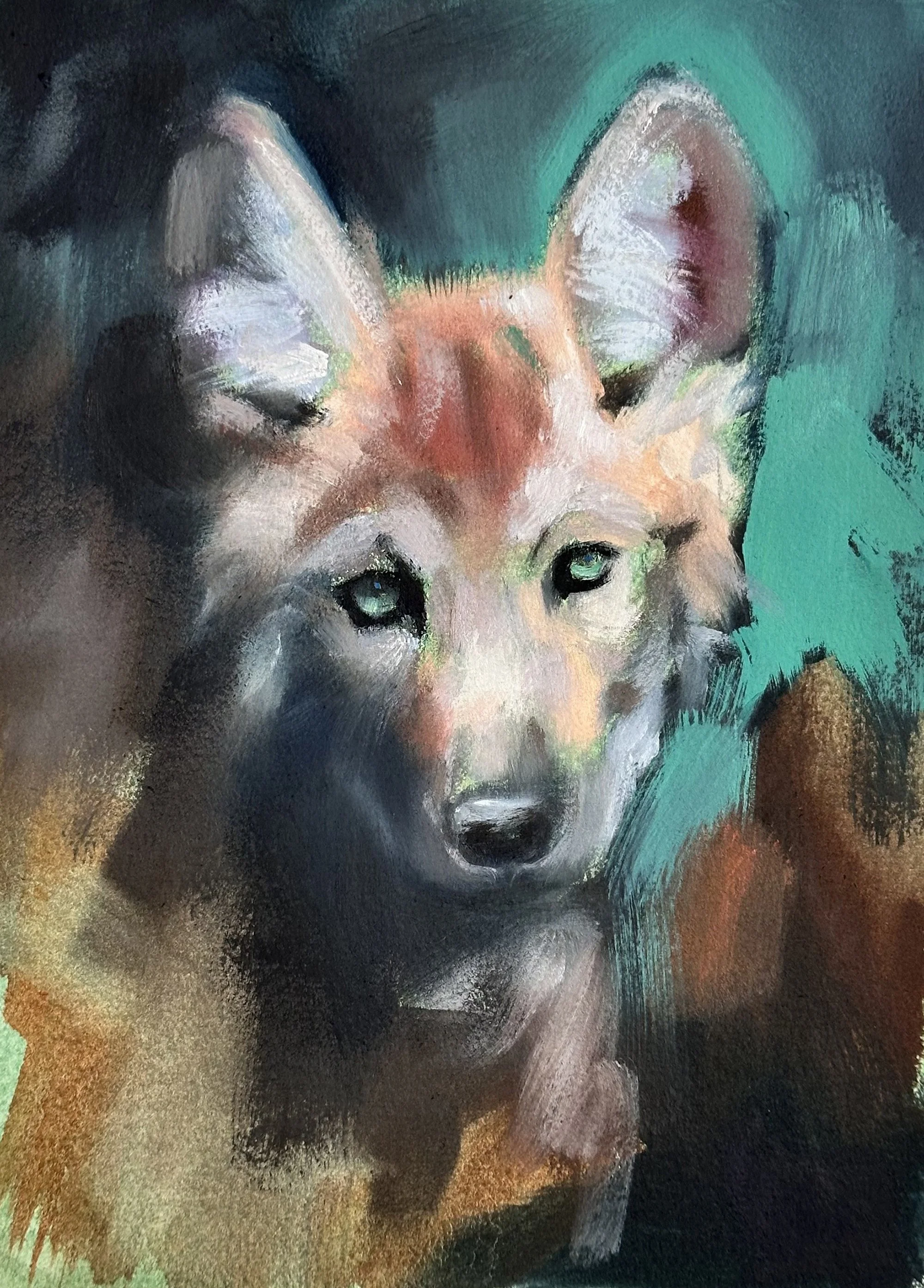 wolf pup study aimee hoover 2024 oil 9x12 D0.jpg