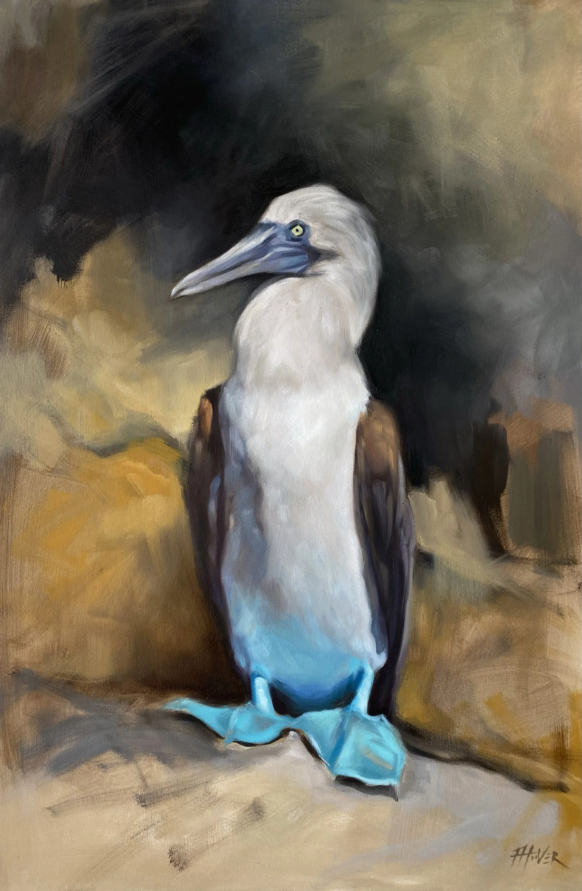 Galápagos II 20" x 30" | Oil on canvas