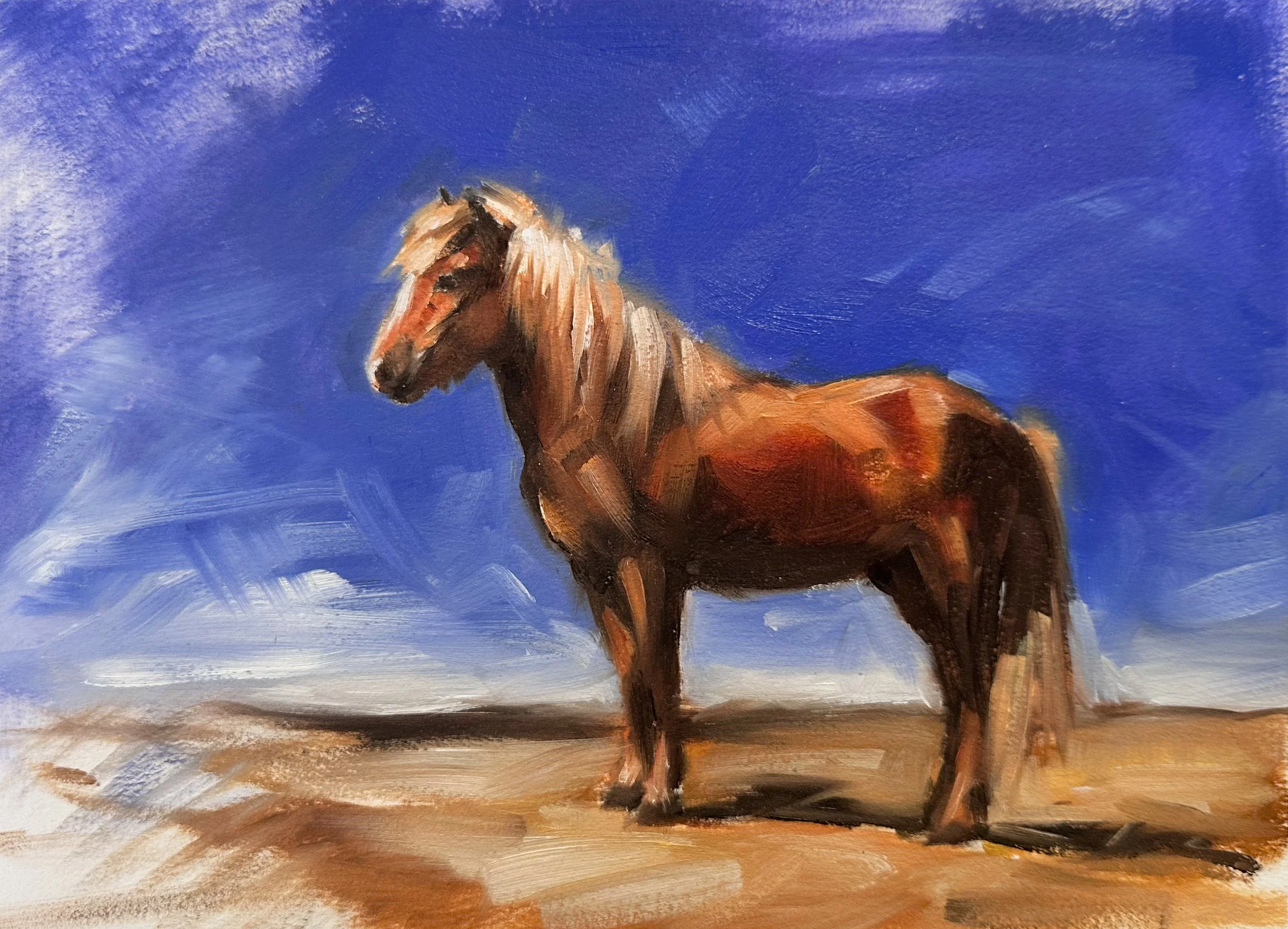 Hoover icelandic Horse Study 9x12 Oil on Paper Full.jpg