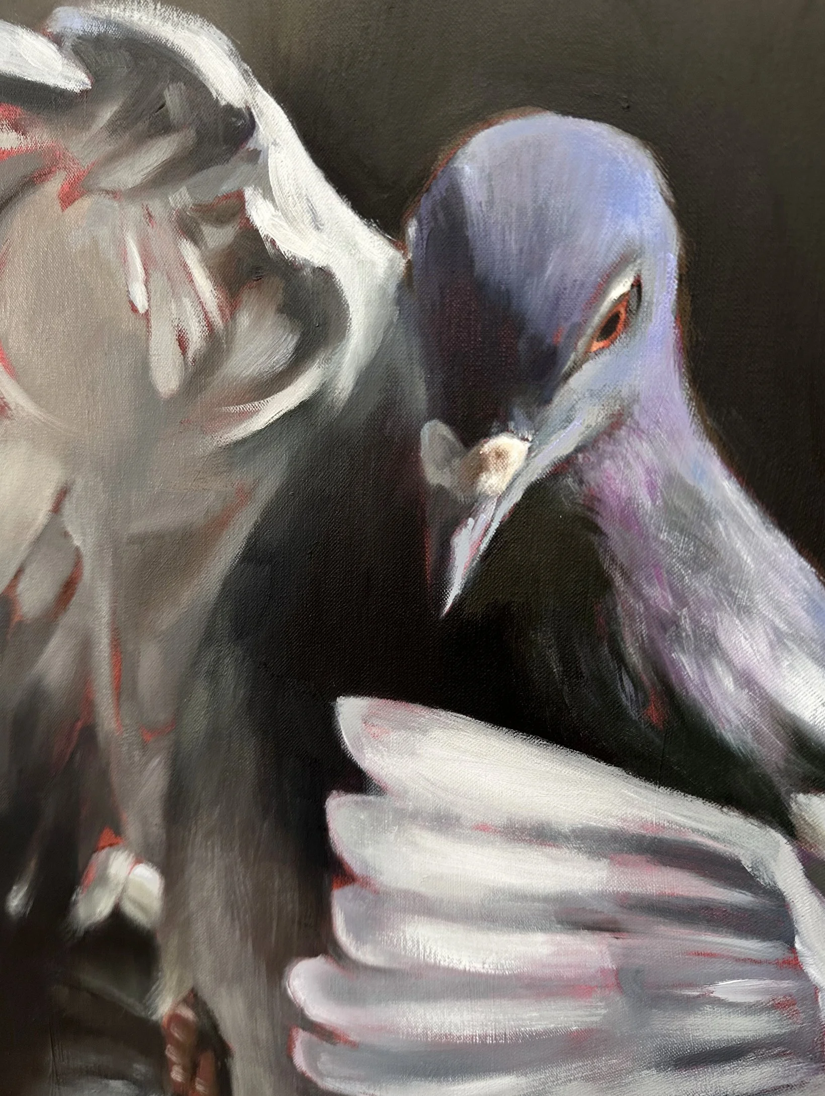 city phoenix pigeon painting aimee hoover D4.jpg (Copy)