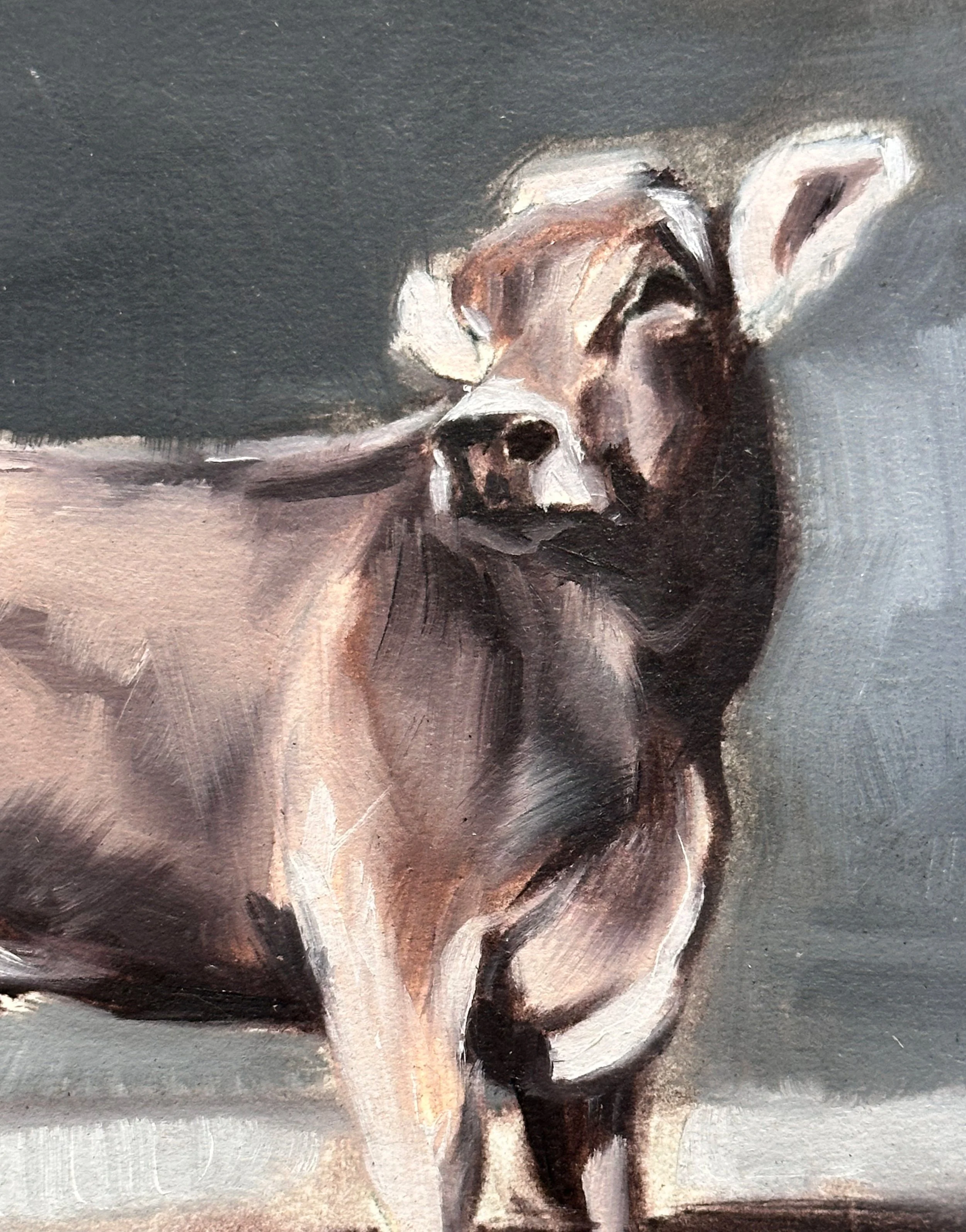 Hoover Swiss Cow Study 9x9 Oil on Paper Detail.jpg