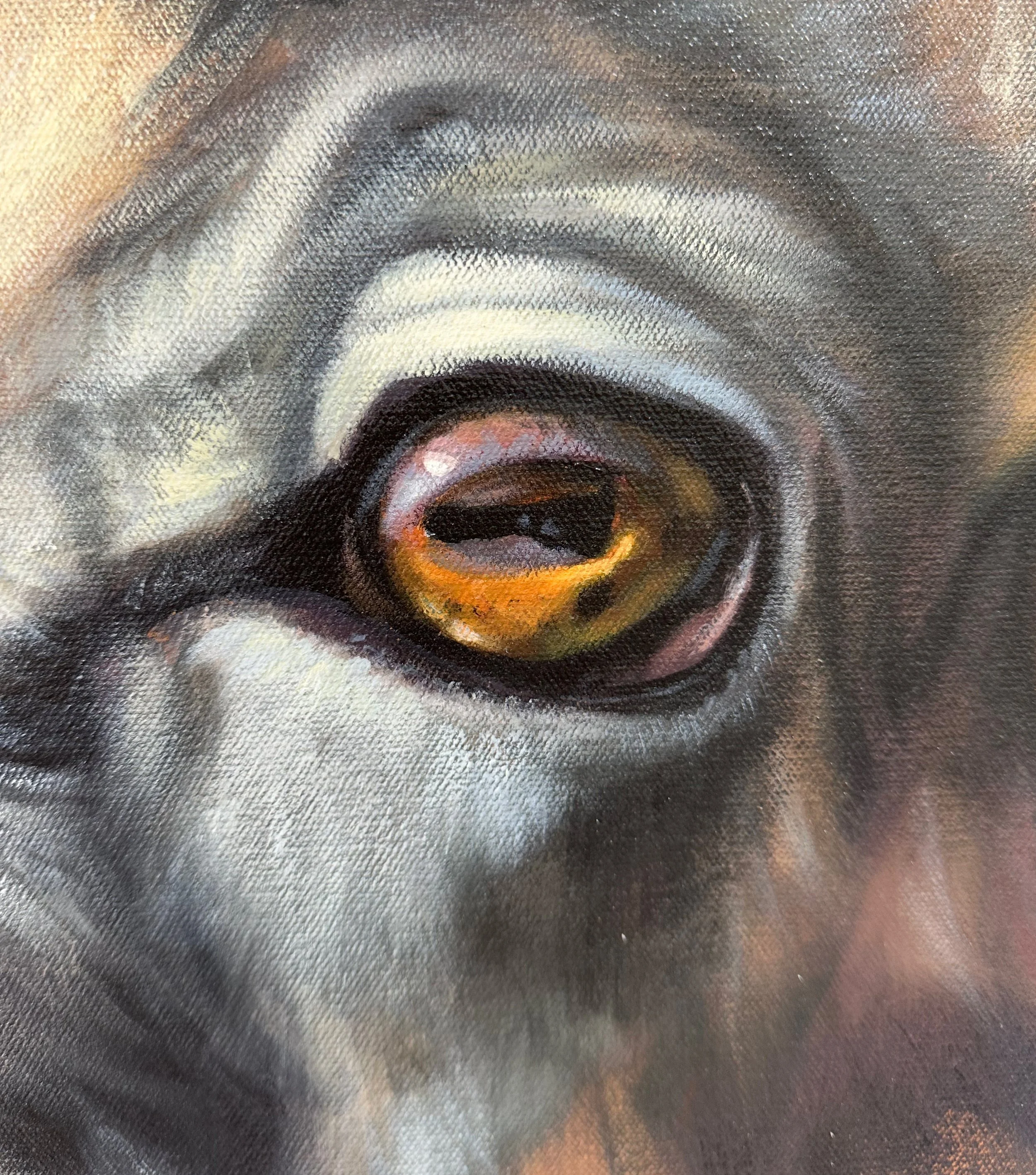 Hoover Bighorn 2014 46x64 Eye Detail.jpg