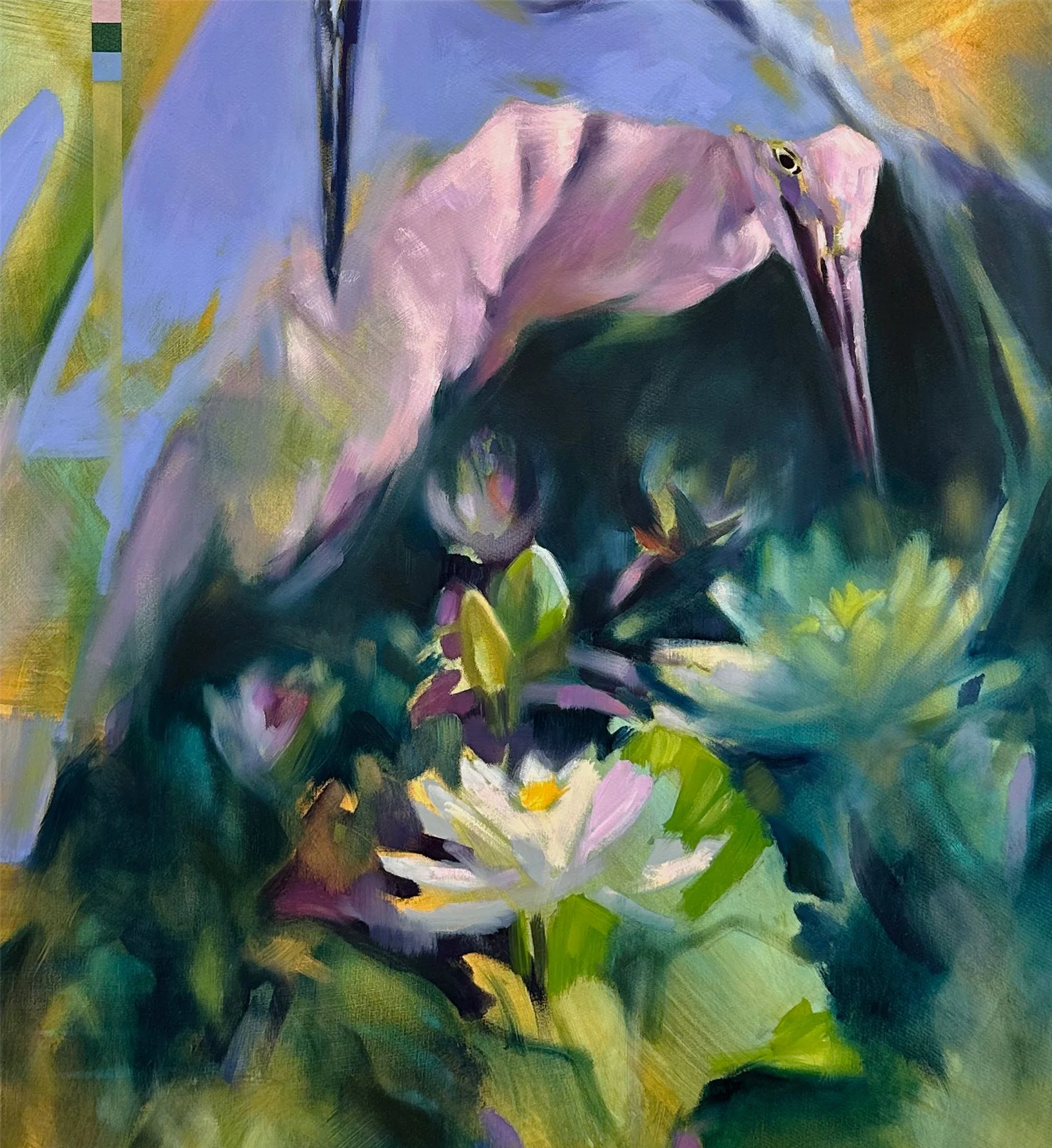 aimee hoover epoch snowy egrets lotus D1.jpg