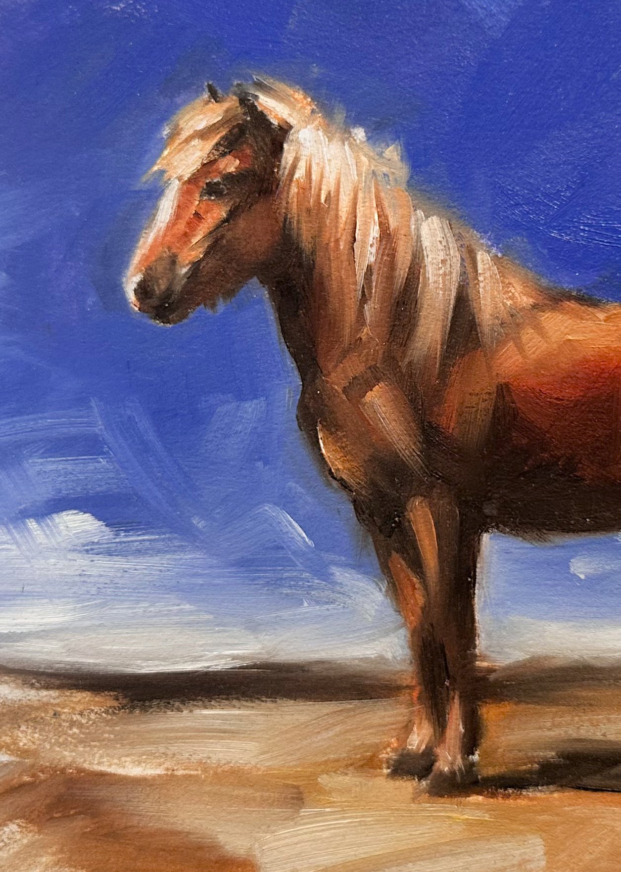 Hoover icelandic Horse Study 9x12 Oil on Paper Detail.jpg