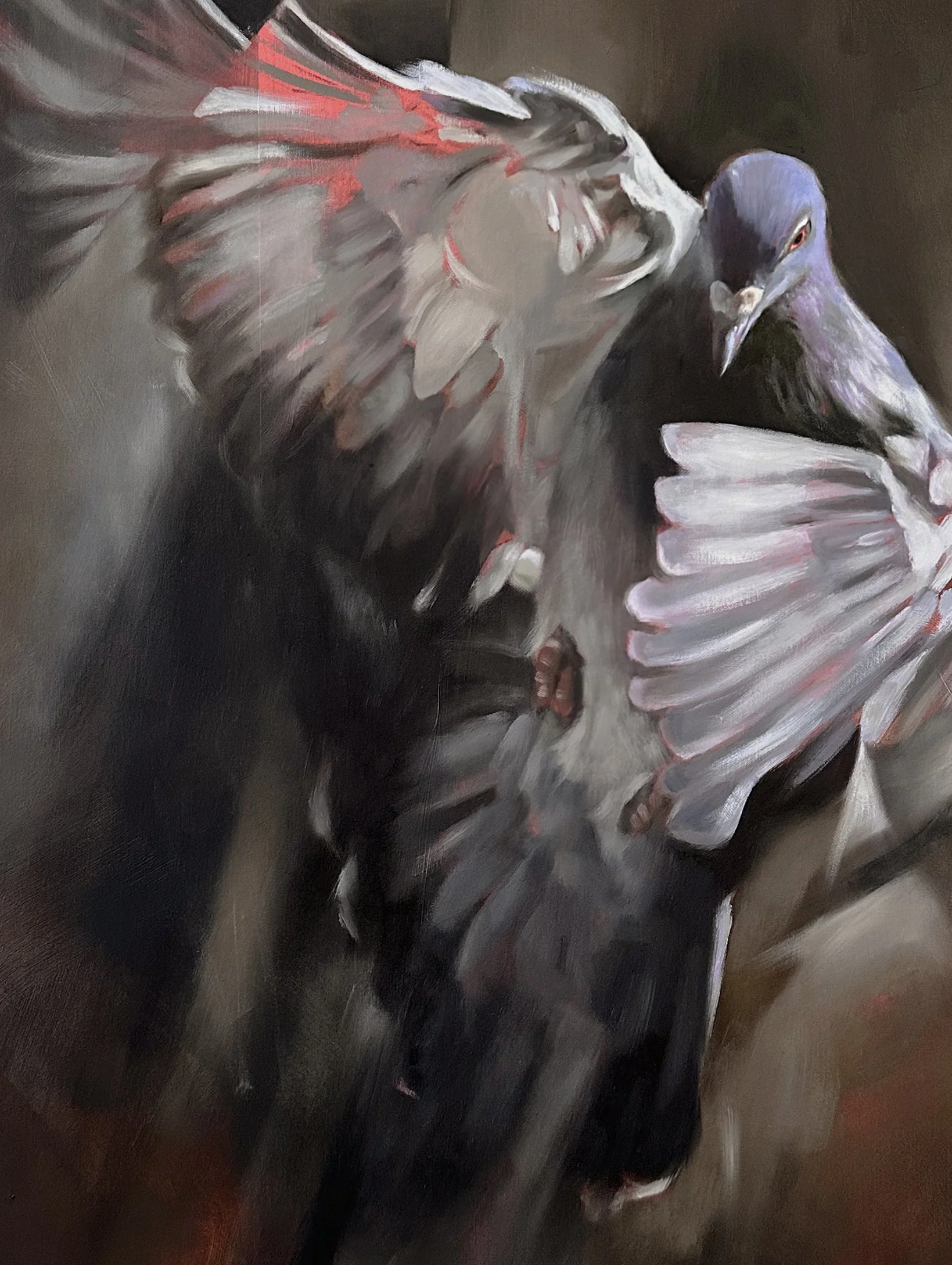 city phoenix pigeon painting aimee hoover D2.jpg (Copy)