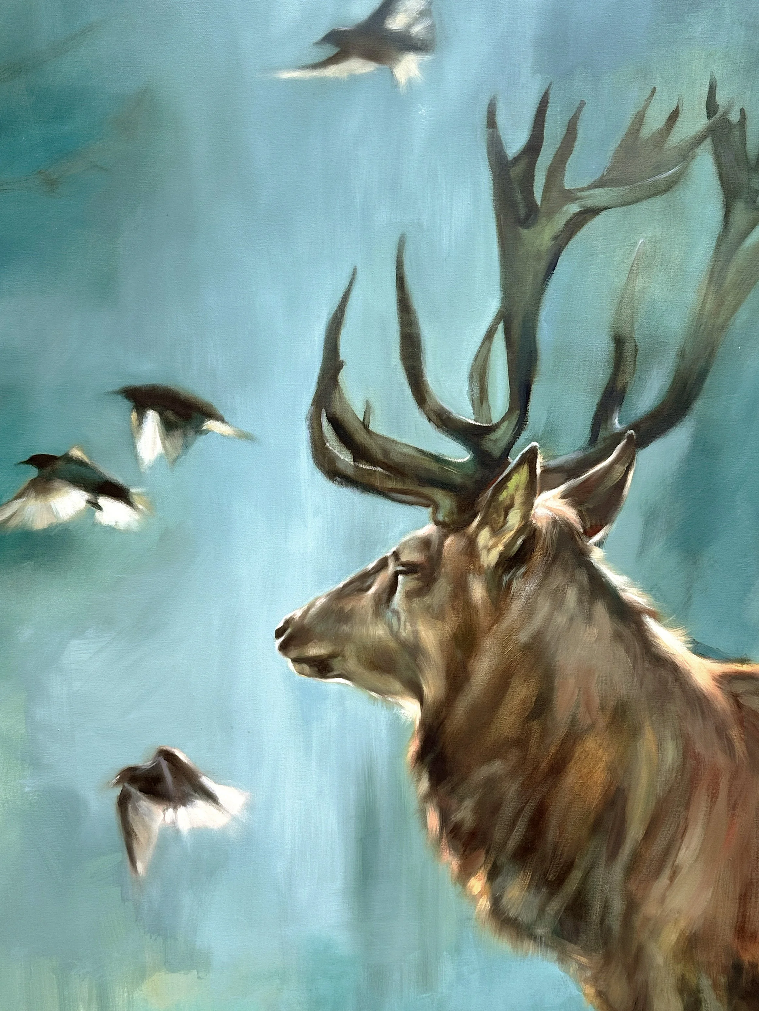the collective deer starlings by aimee hoover D5.jpg