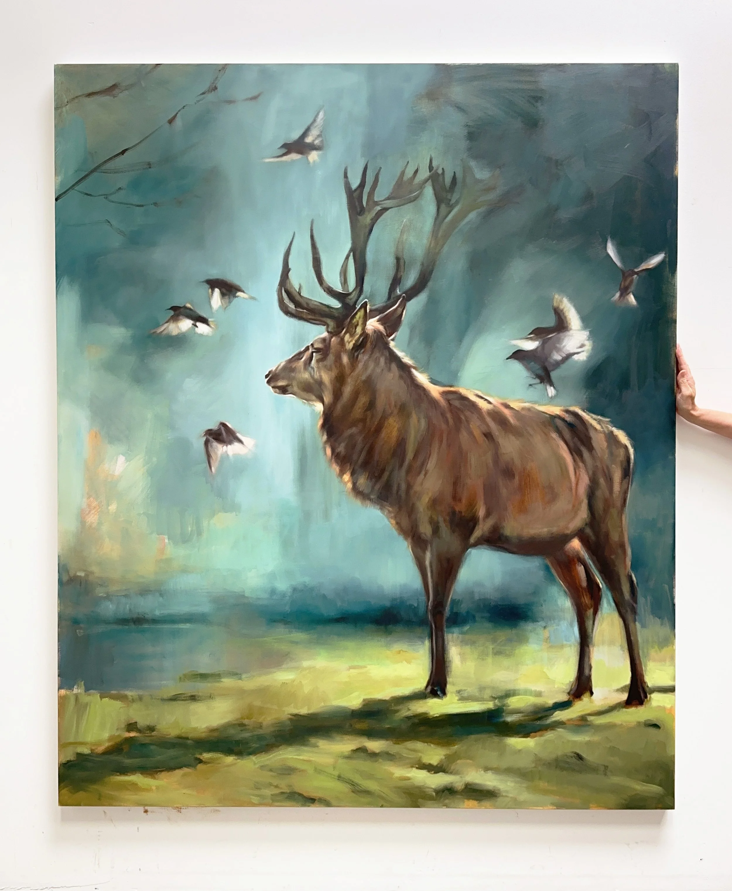 the collective deer starlings by aimee hoover D2.jpg