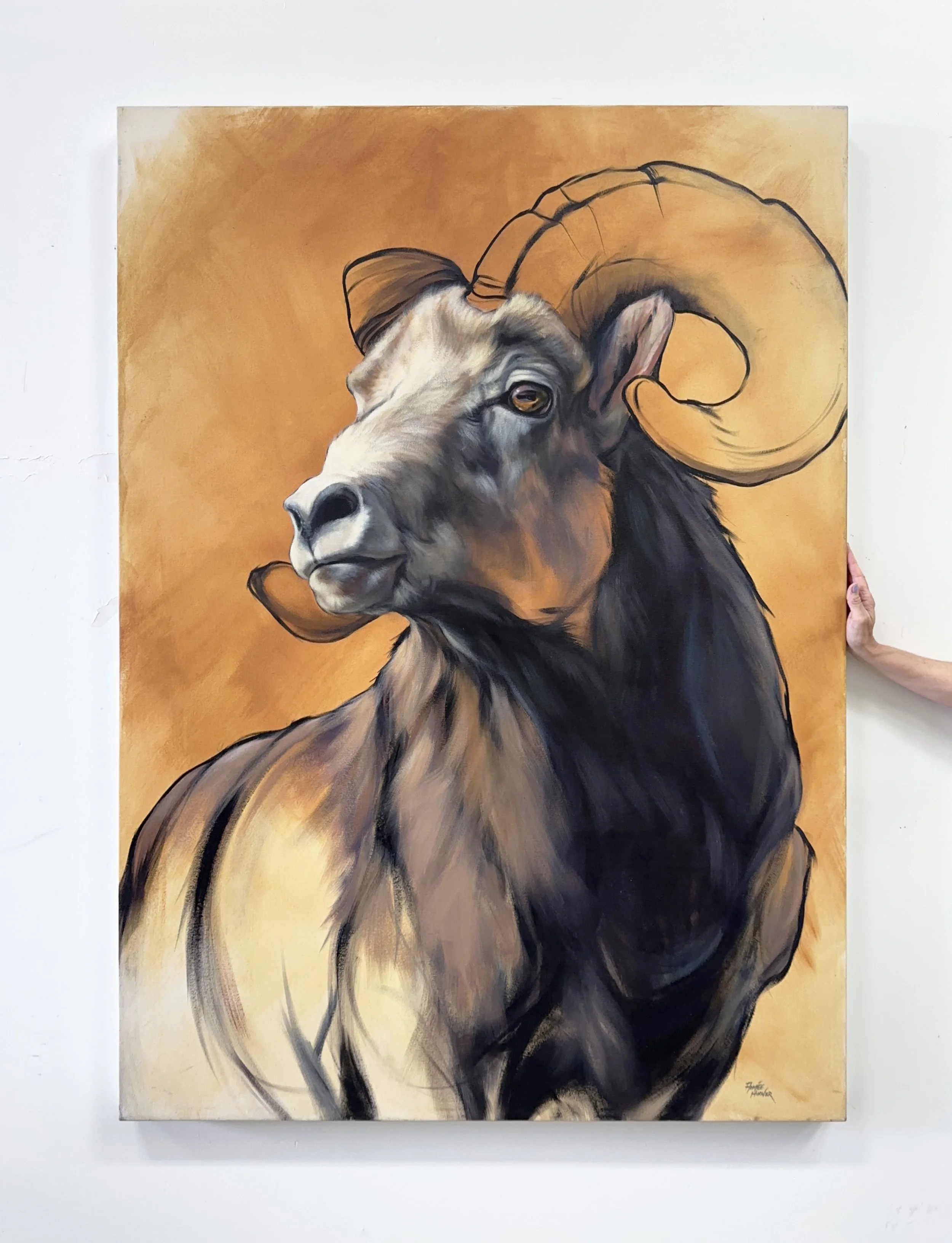 Hoover Bighorn Acrylic on Canvas 2014 46x64 Hand.jpg