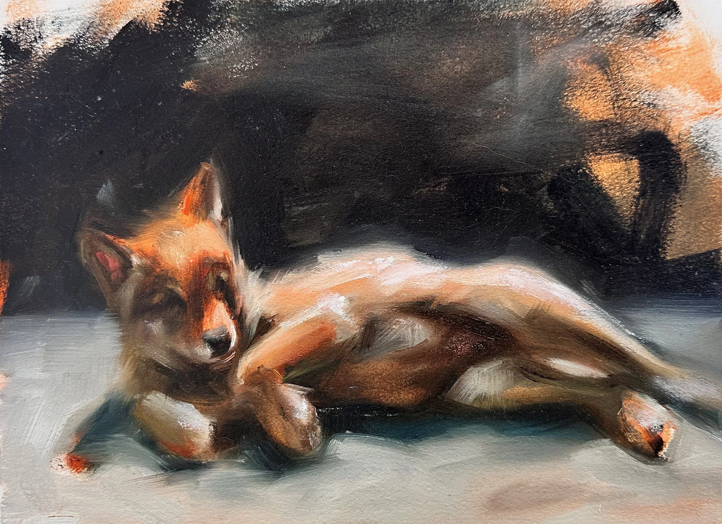Hoover Resting Wolf Pup Study 9x12 Oil on Paper Full.jpg