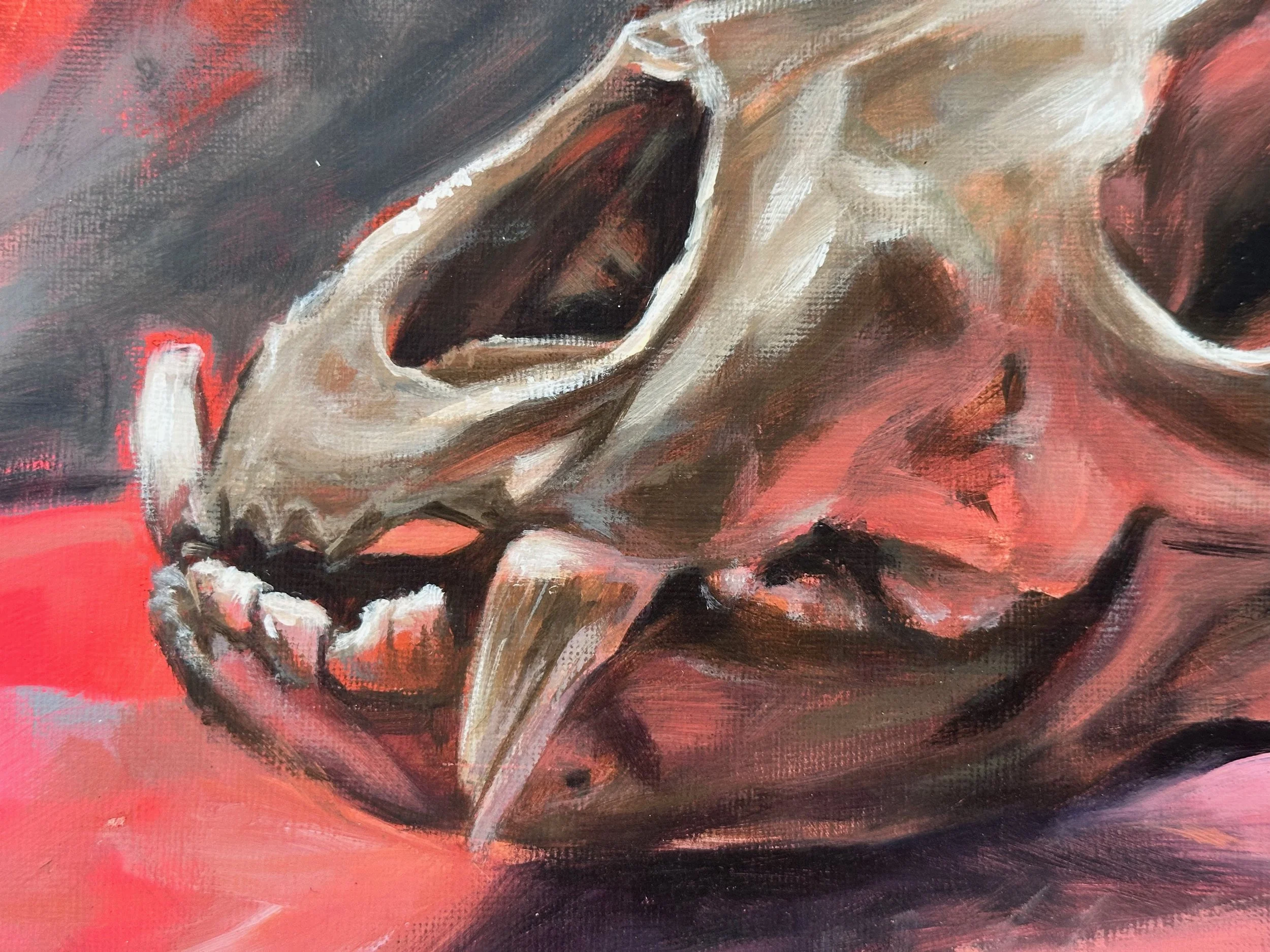 Hoover Bear Skull Healer 9x12 Acrylic on Paper Detail.jpg