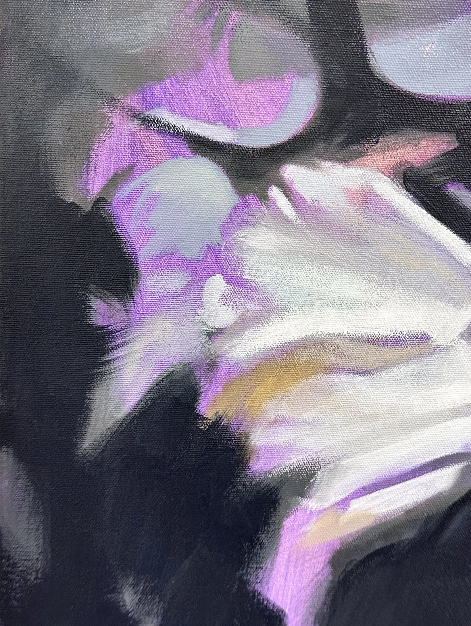 IG Aimee Hoover studio zenith 2025 dove D8.jpg