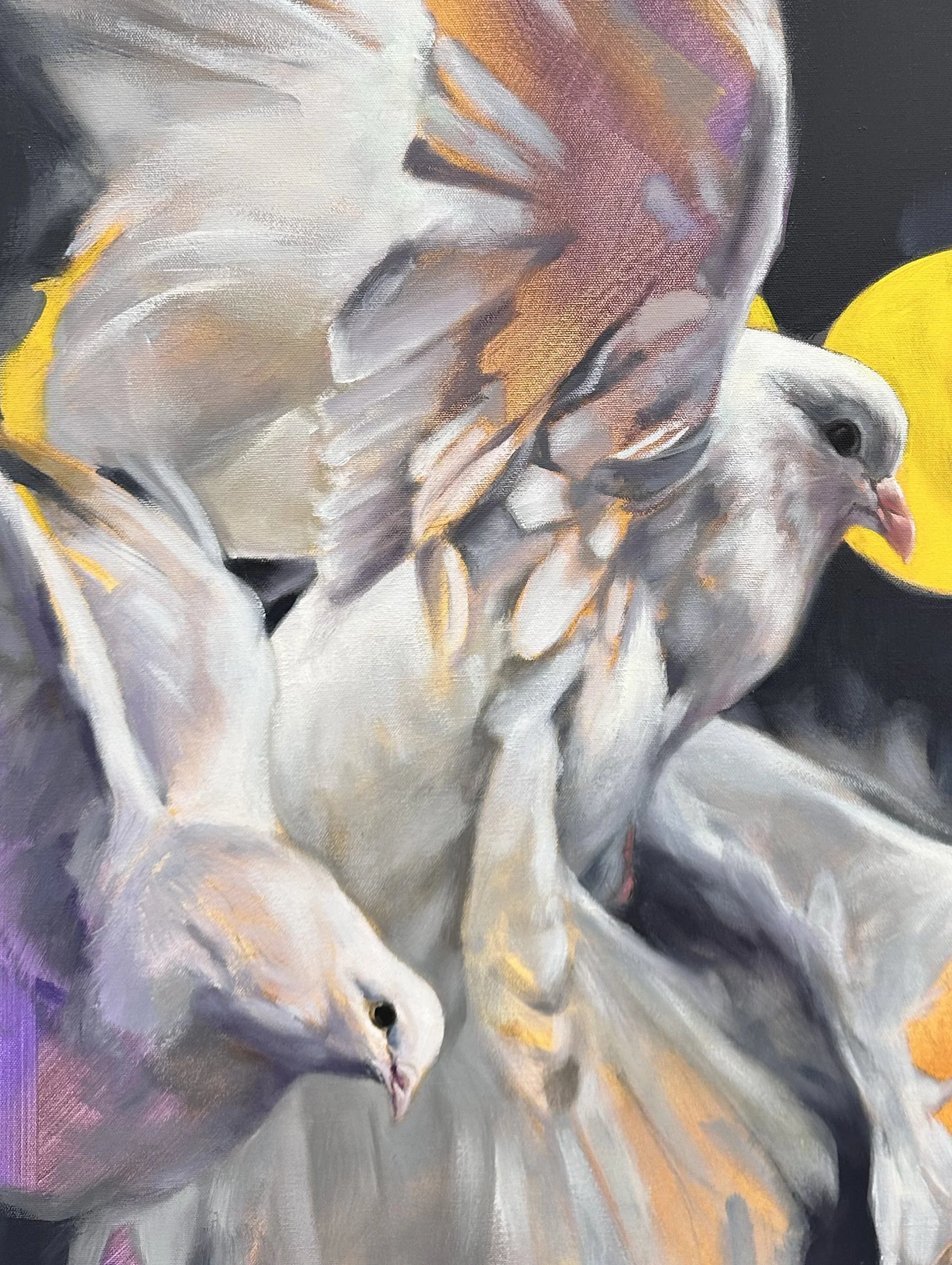IG Aimee Hoover studio zenith 2025 dove D6.jpg