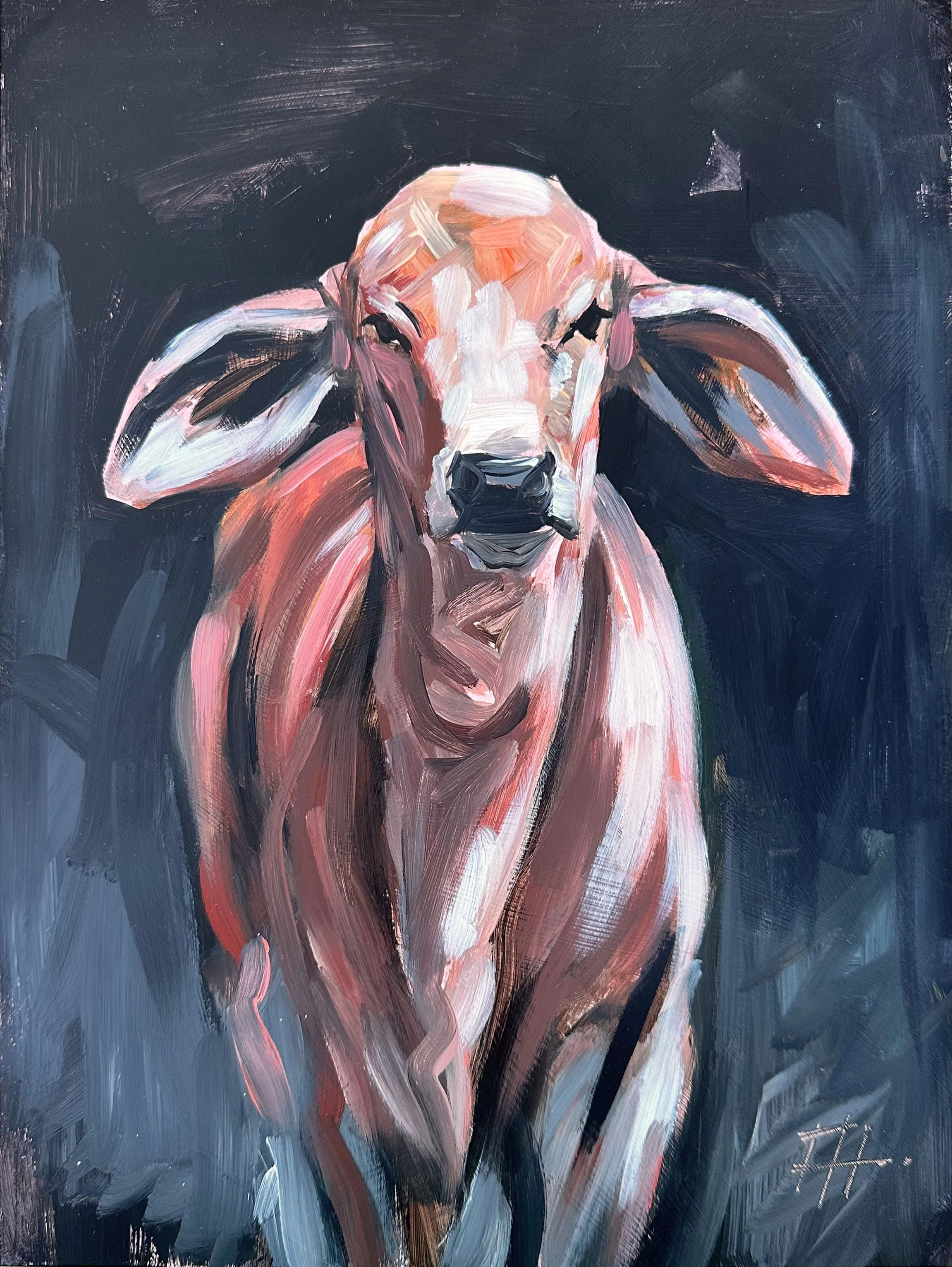 Hoover Brahman Calf Study 9x12 Acylic on Mylar Full.jpg (Copy)