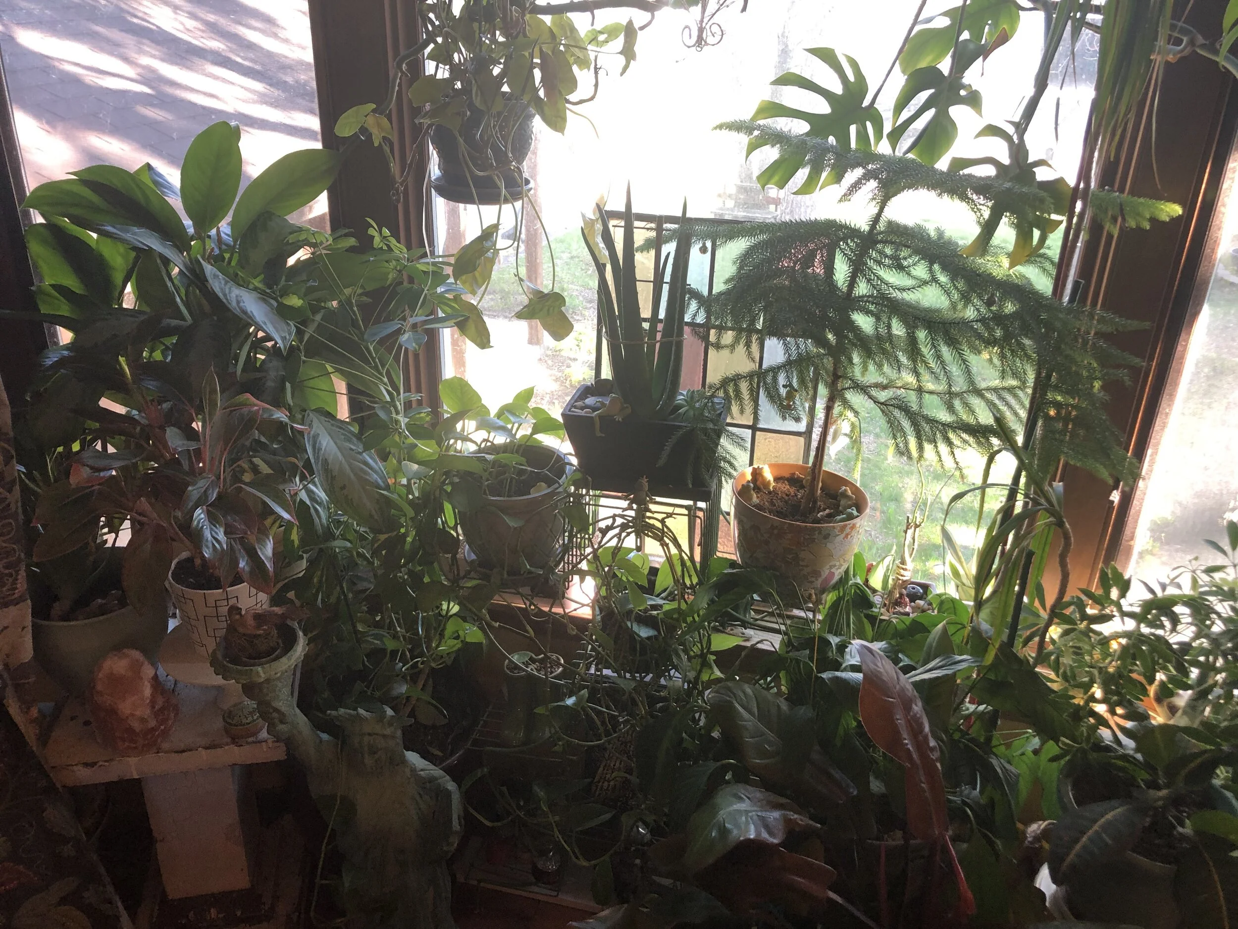 How lessons of sobriety help with COVID-19