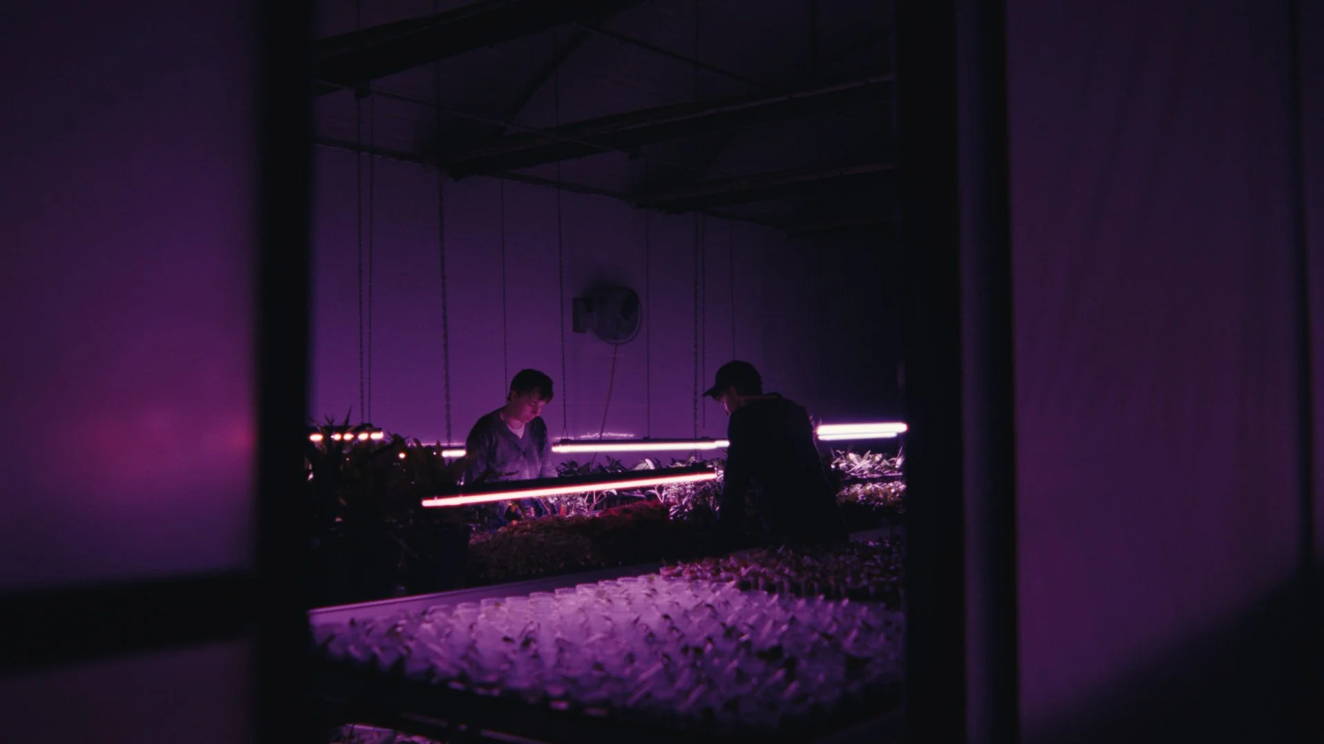 DTN_STILLS_1.34.1.jpg