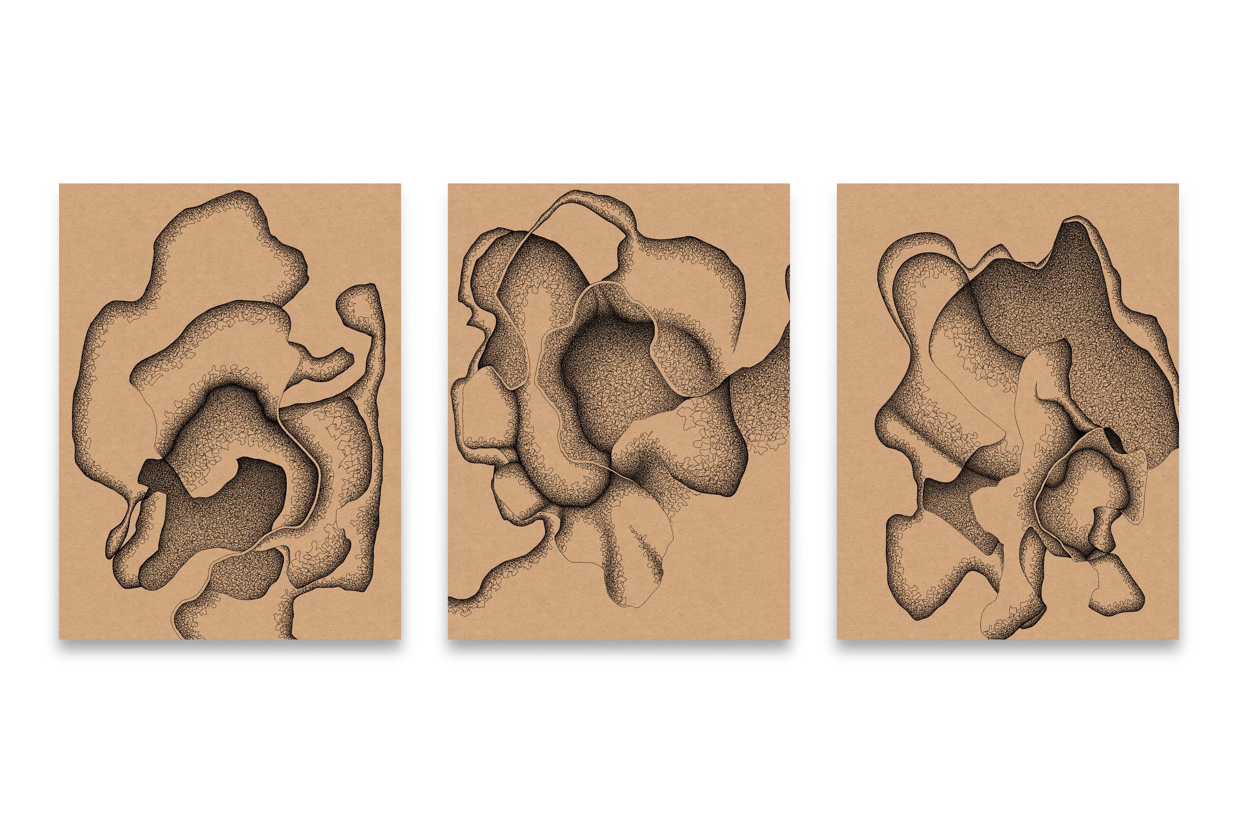 220711_efflorescence_all copy.jpg