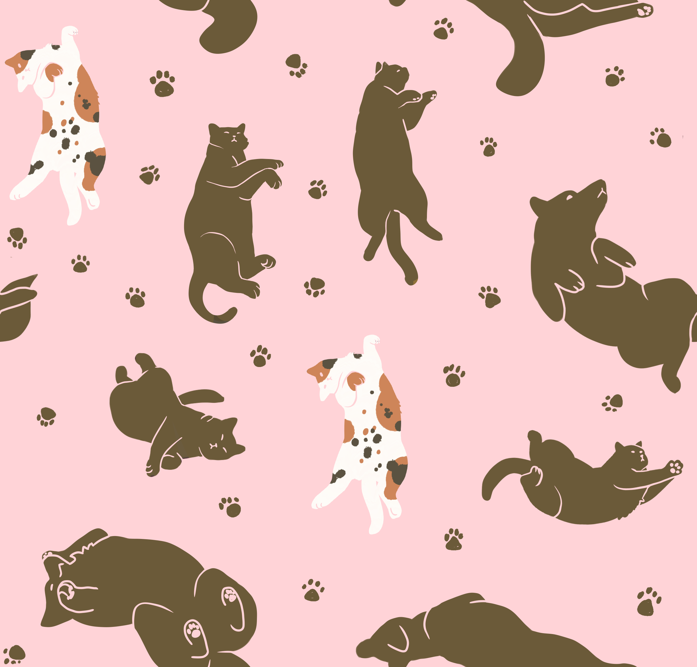 Calico Pawsome Collection: DX