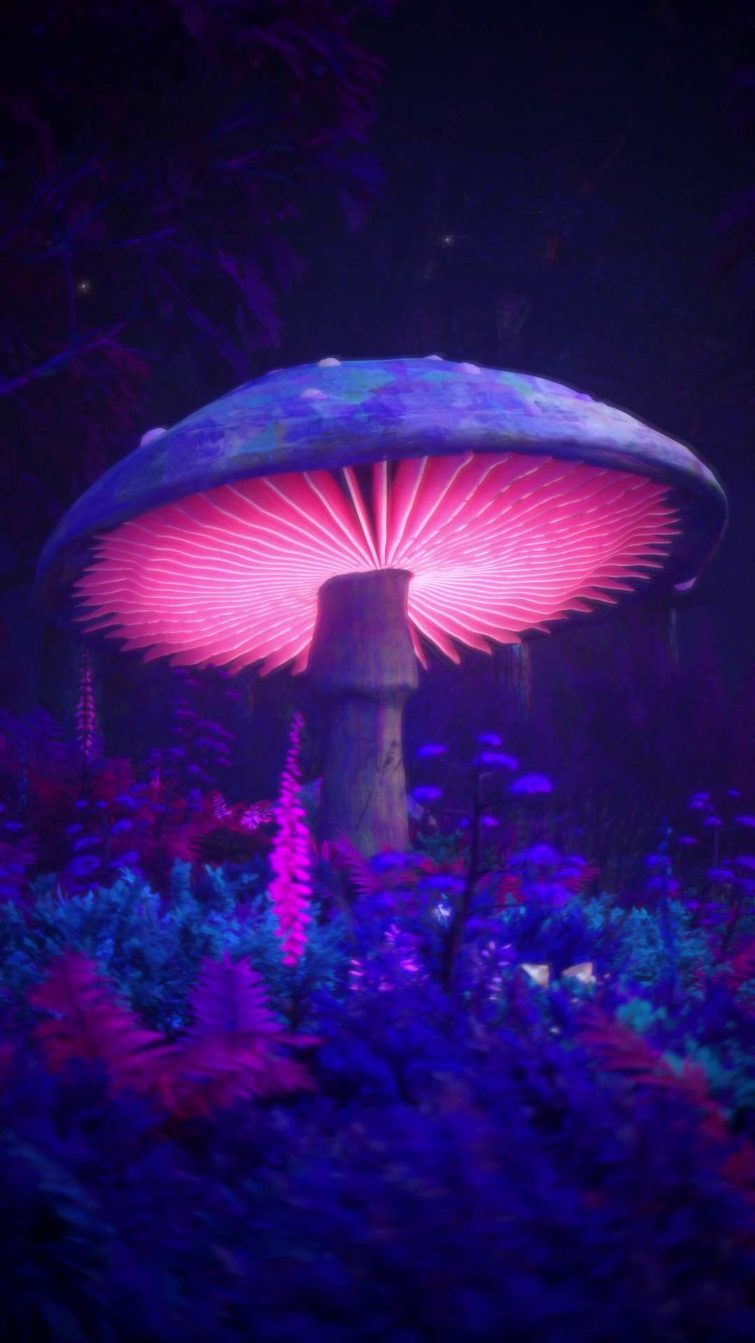 Dreamy Lights (Main Theme)