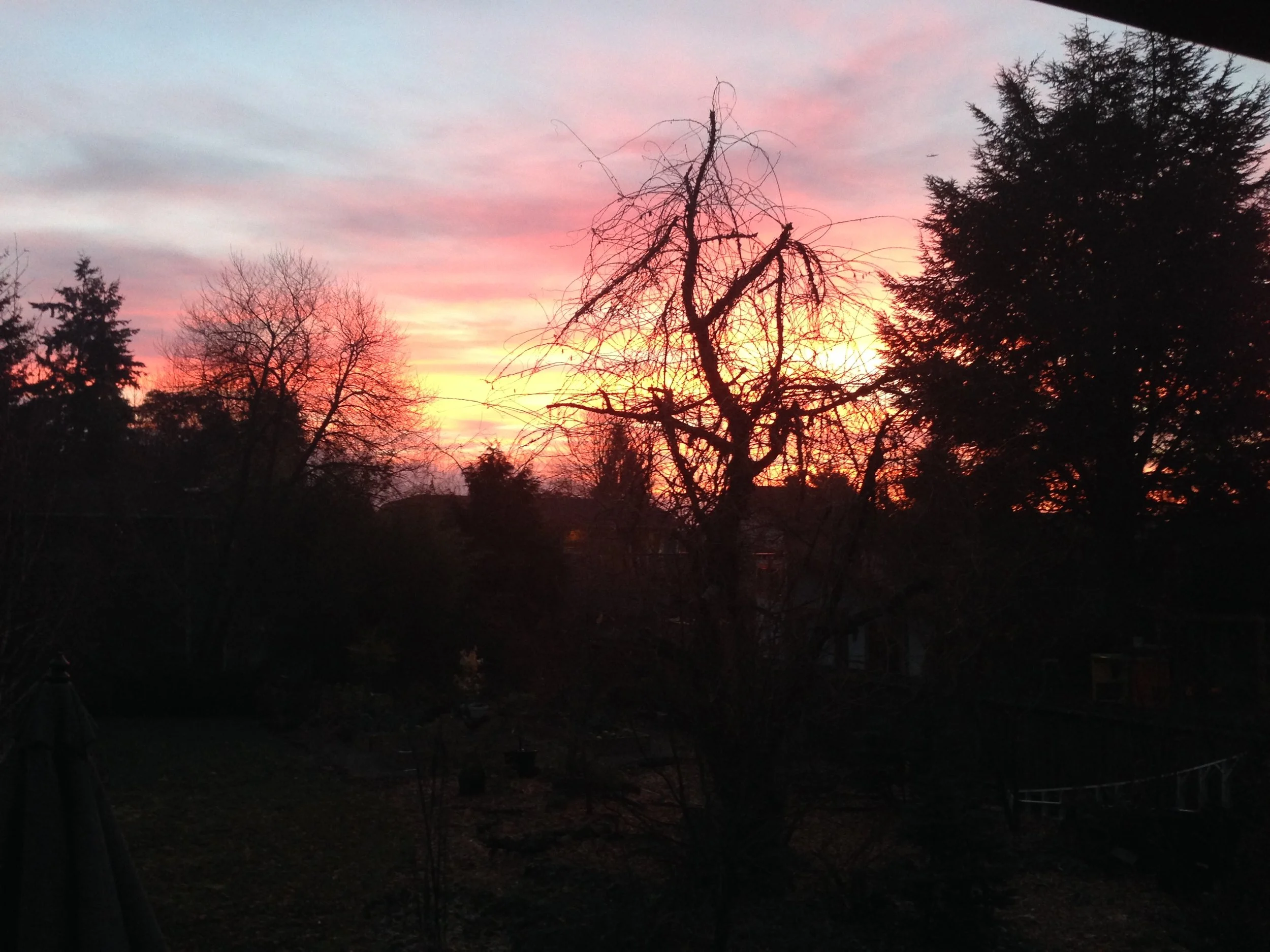 2013-12-12 07.32.29.jpg