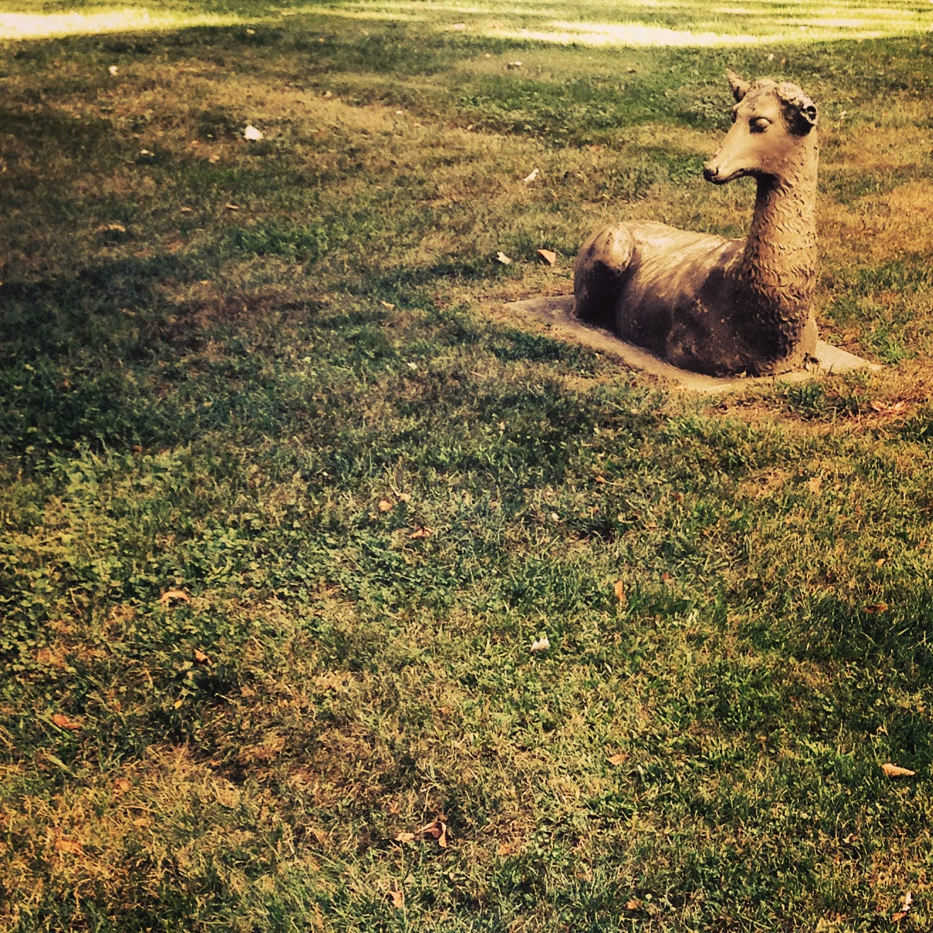 Episode 45 - Irregularities