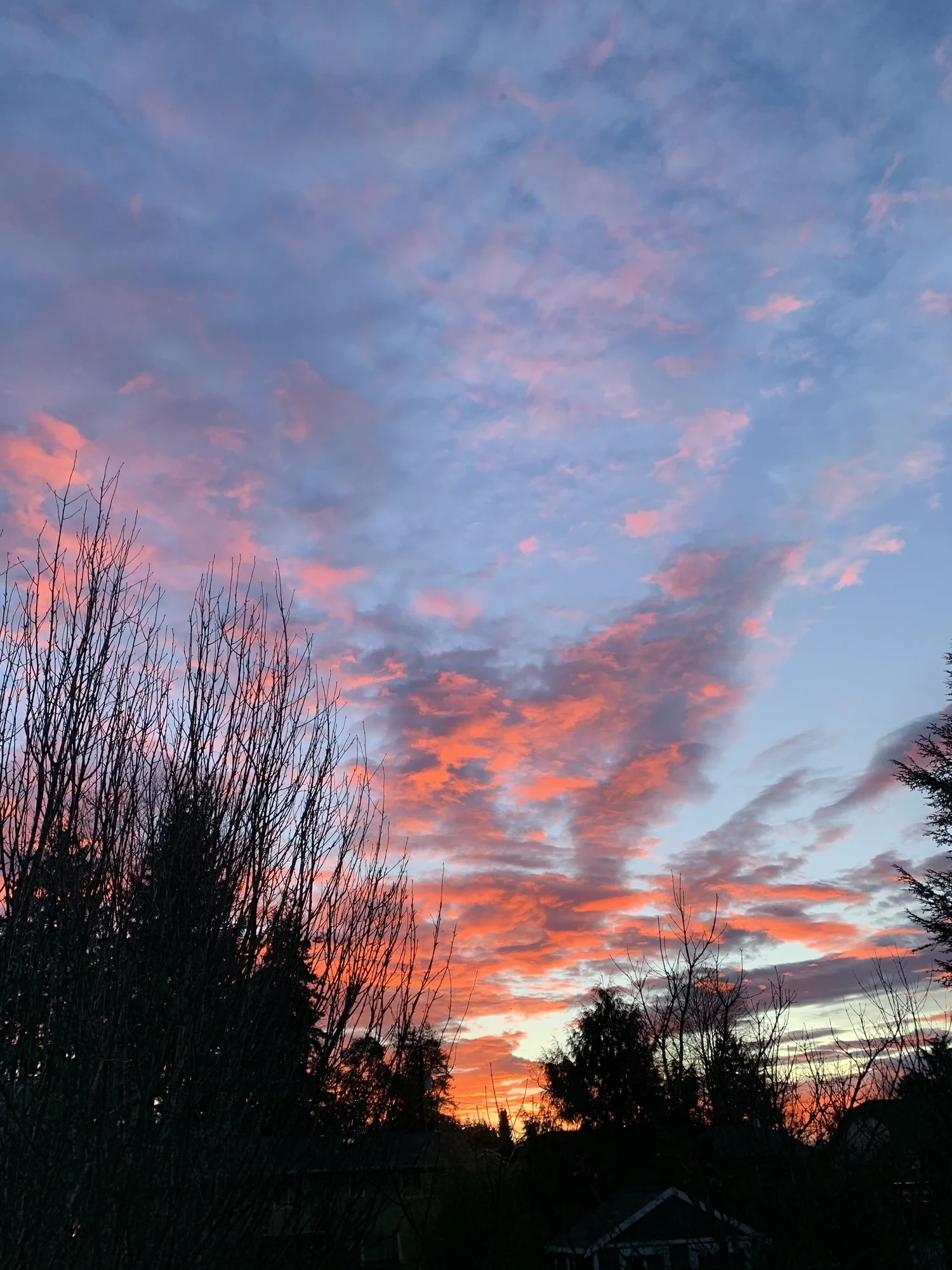 The Sky Knows Where We Are episode artwork