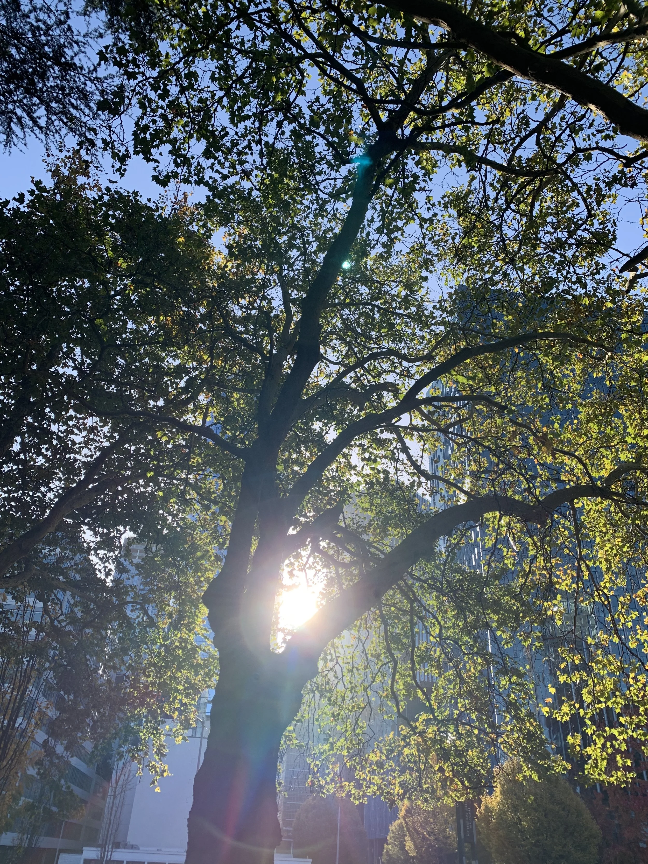 Your Story of the Blinding Light