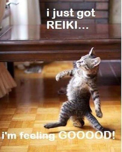 Put your paws in his shoes and get a reiki session you will not forget. Book now #wellness #feelgood #margretriver #sensorydeprivation #floating #reiki