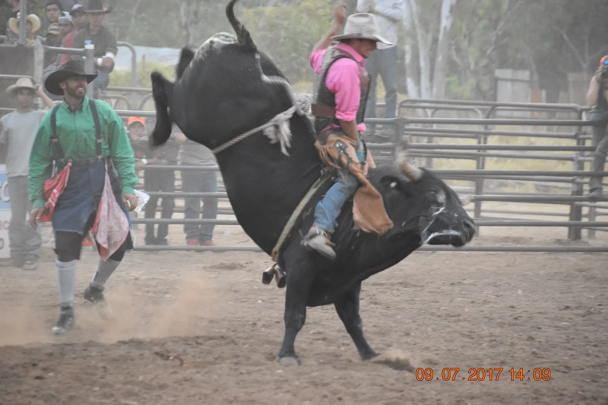 DSC_5282.jpg