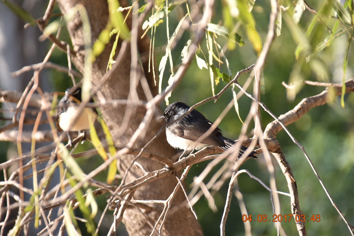 DSC_5771.jpg