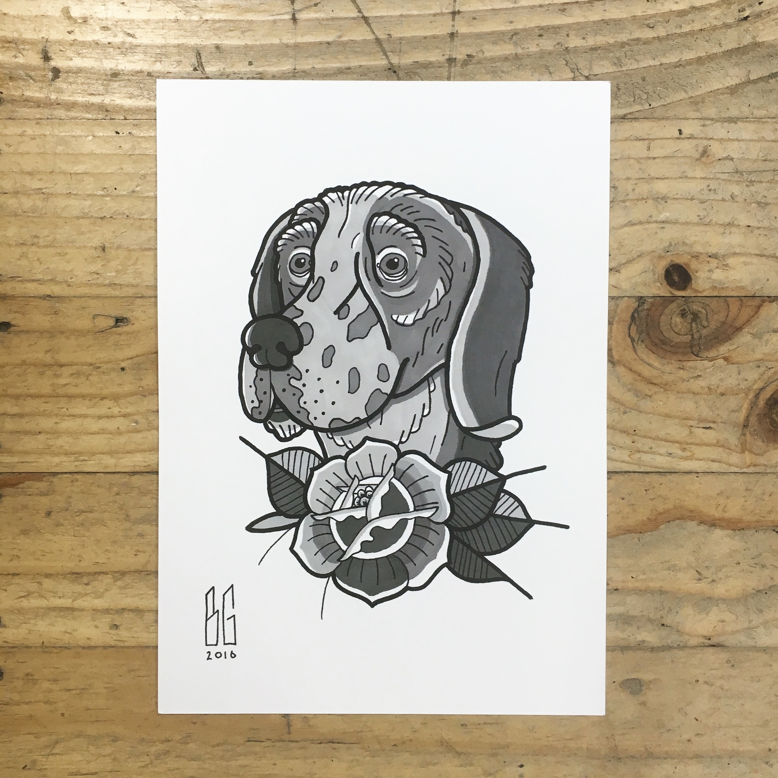 A4 - Commissioned  English Setter