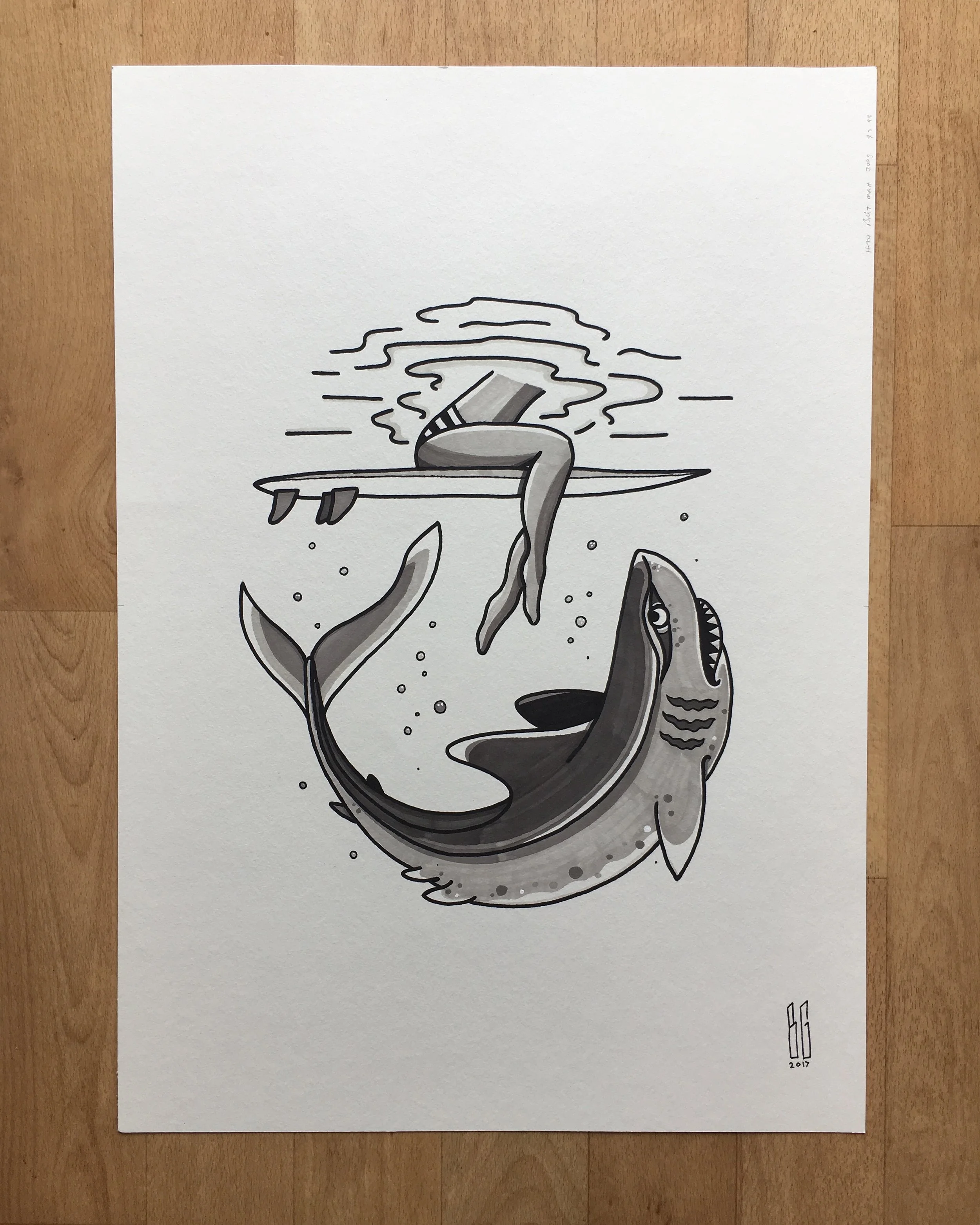 A2 - Shark Commission