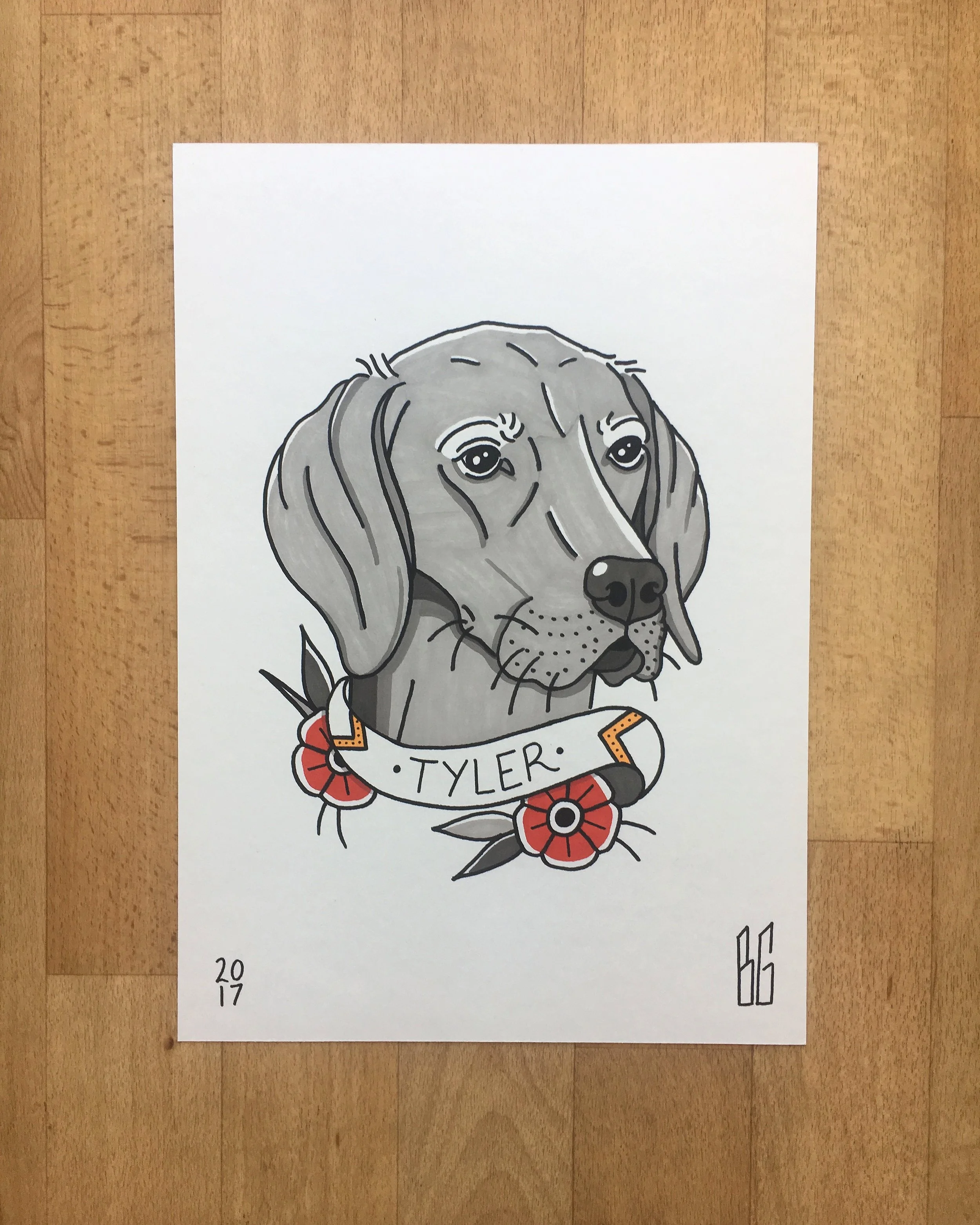 Tyler the Vizsla