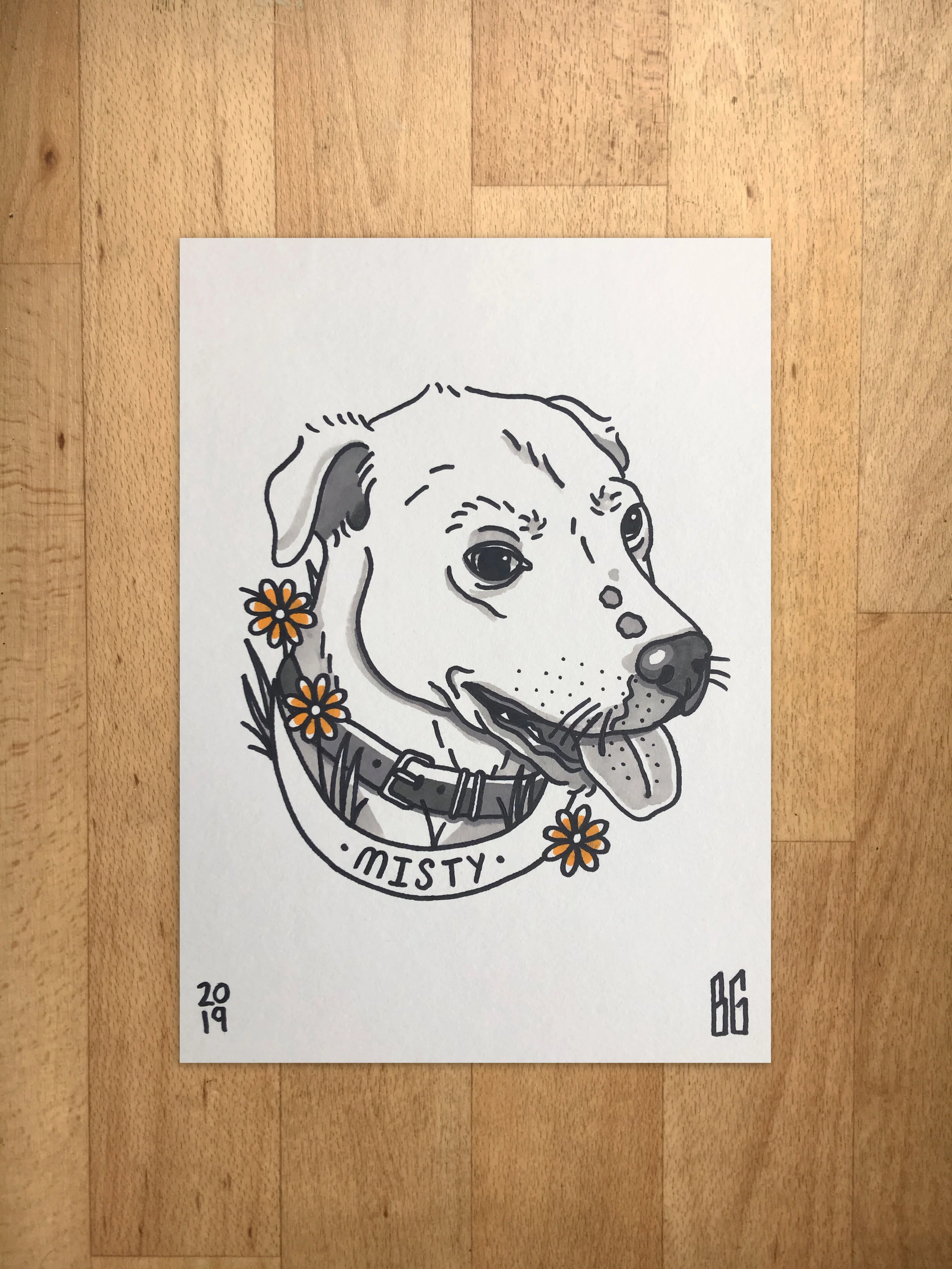 Misty Dog.JPG